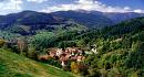 Orman K�yleri