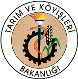 Bebek mamalar�nda kur�un kal�nt�s� bulunmamaktad�r