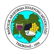 Vizyon 2023 Ba�c�l�k �al��tay�