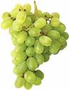 �z�m Rekoltesinde b�y�k kay�p var