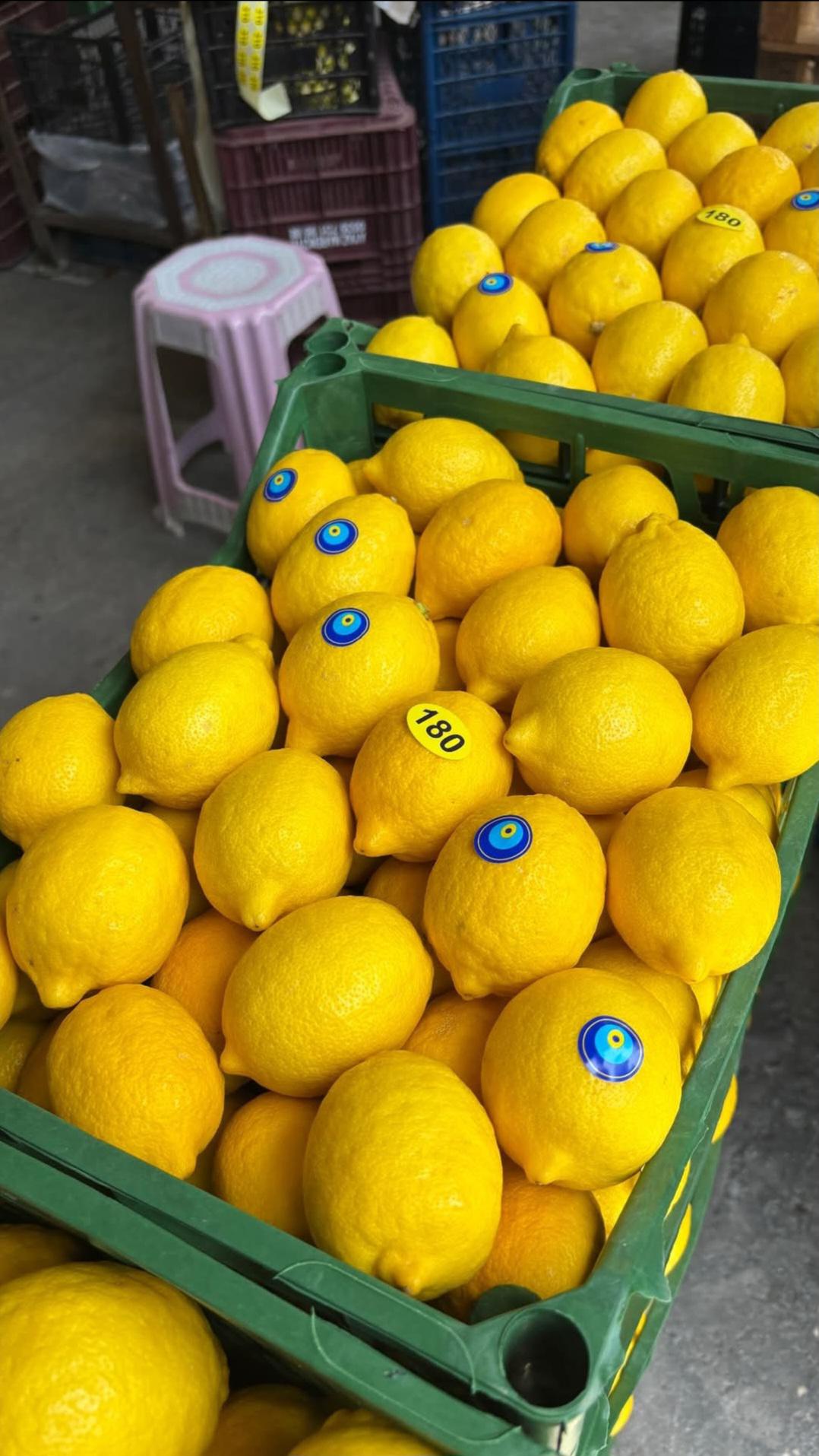 2026 yılı Limon fiyatları - 20816