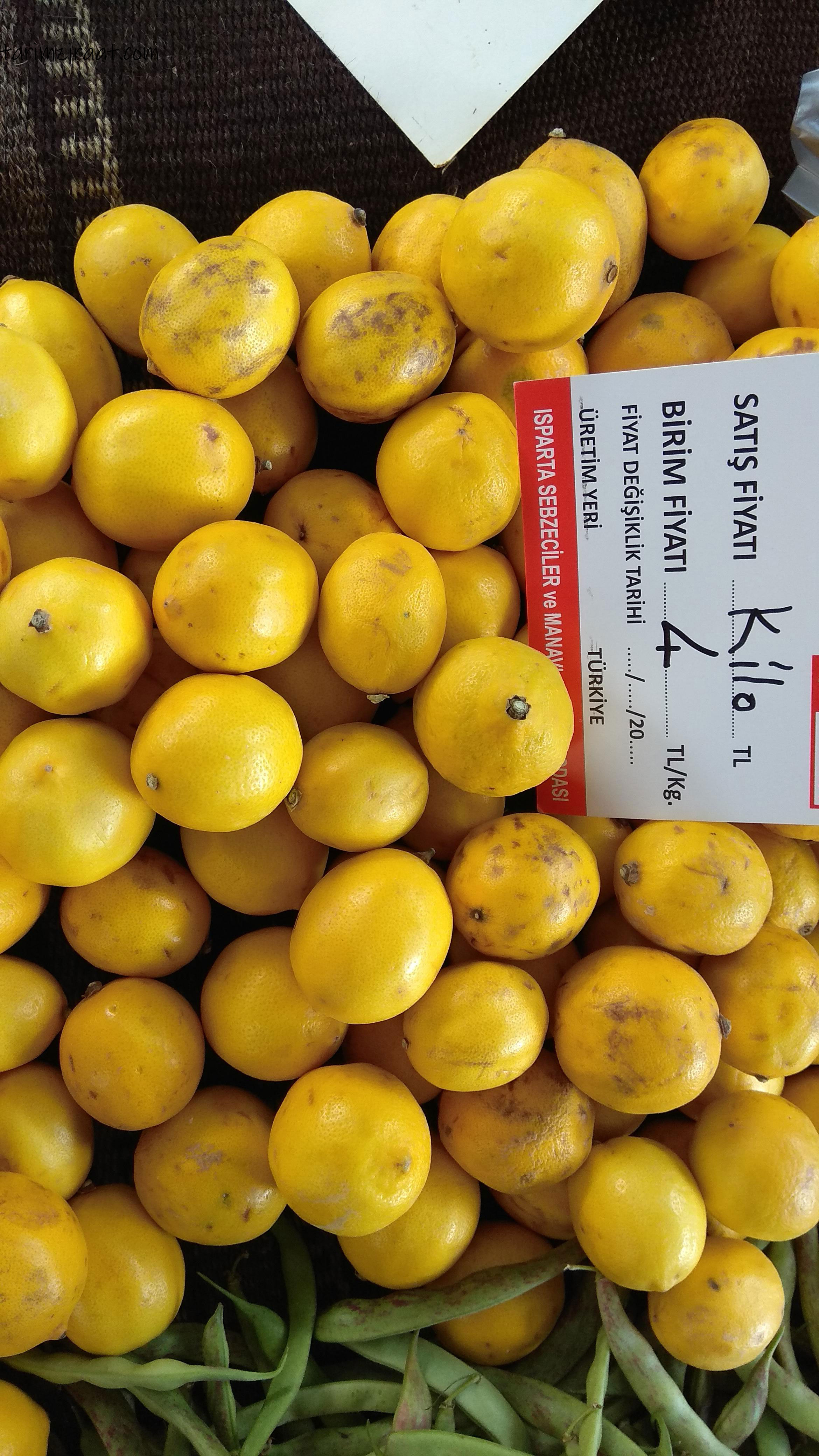yatak limon fiyatları