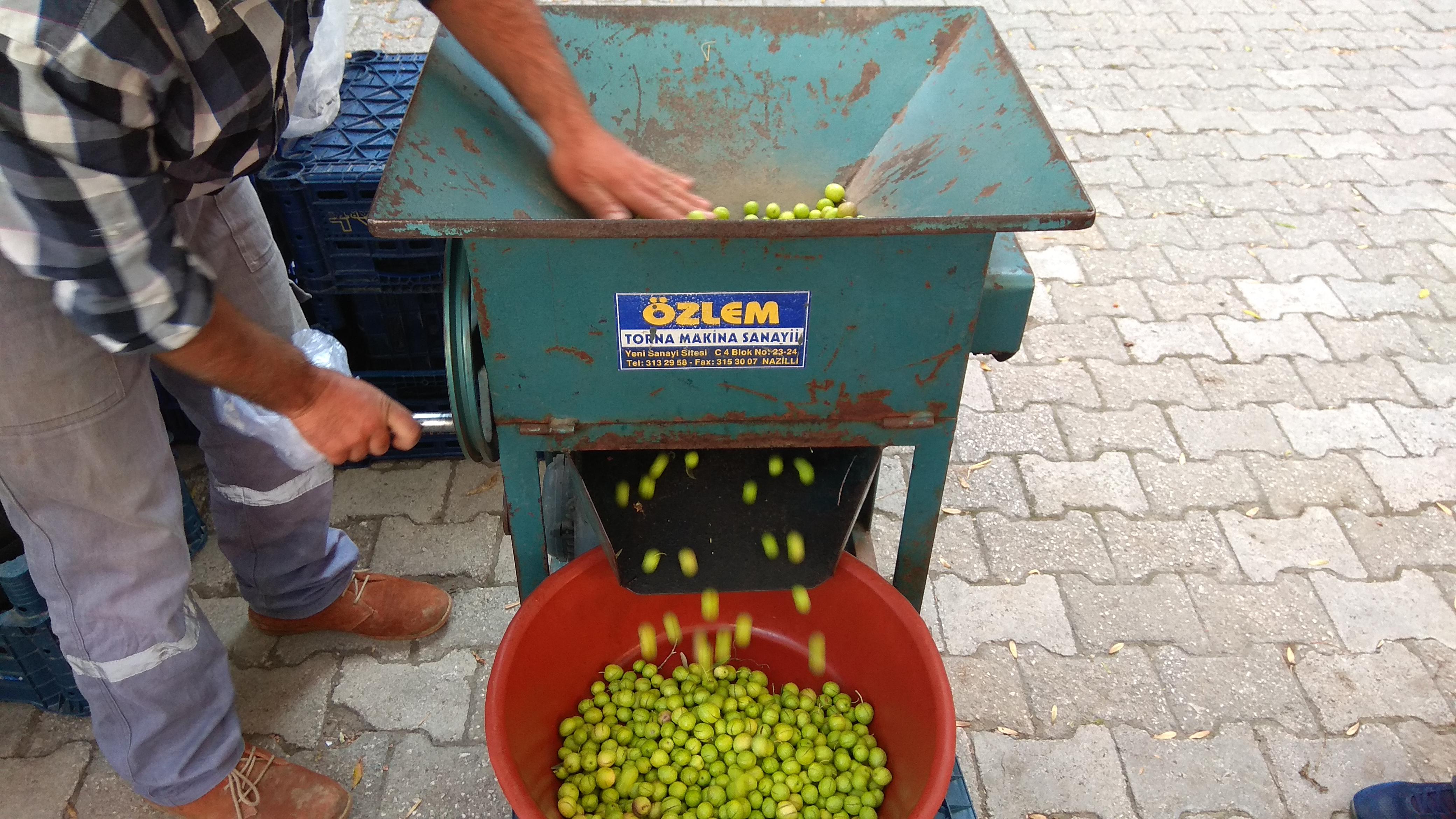 2019 yılı Zeytin fiyatları - 5074