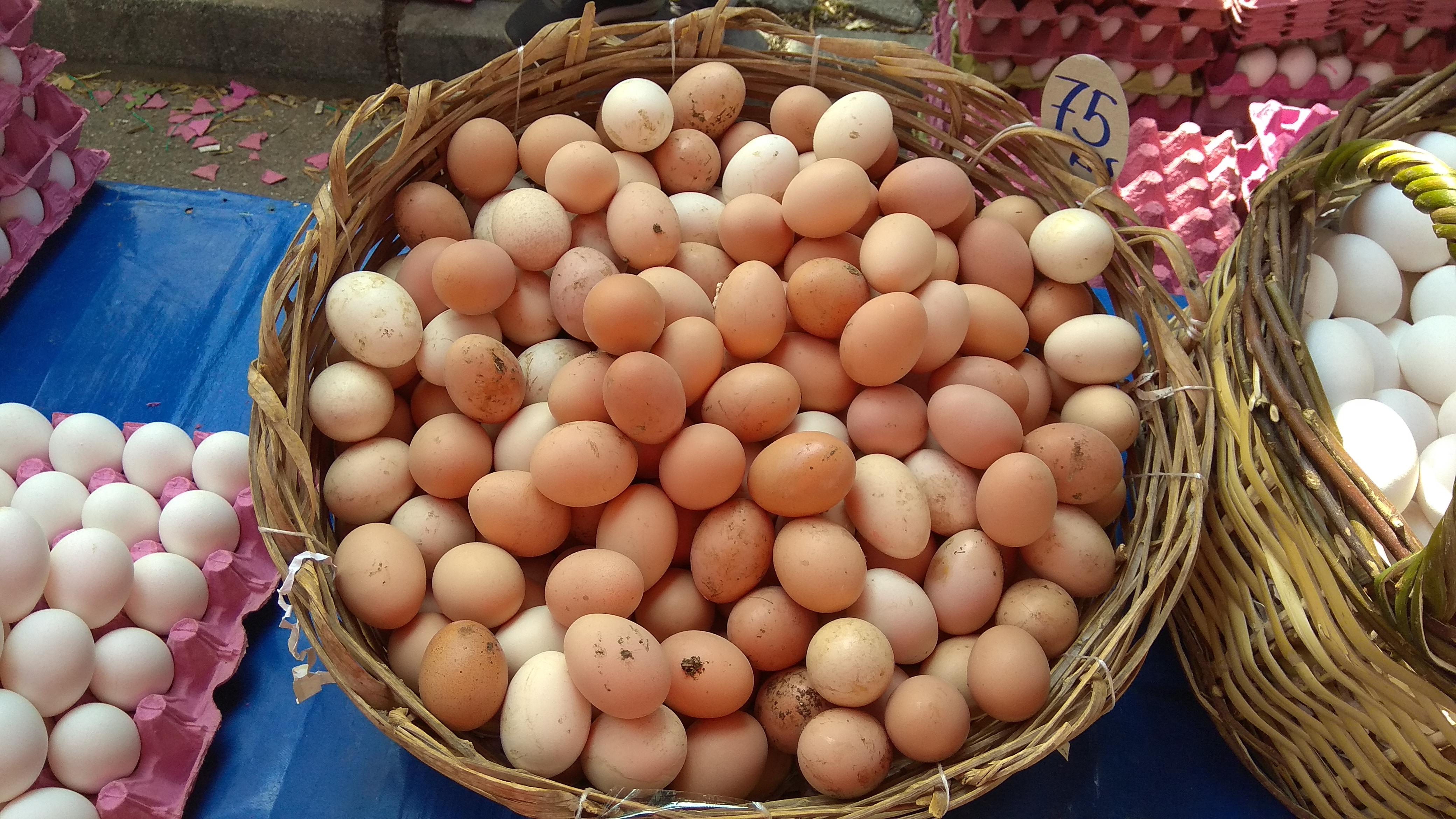 2019 yılı Tavuk Yumurtası fiyatları - 5080