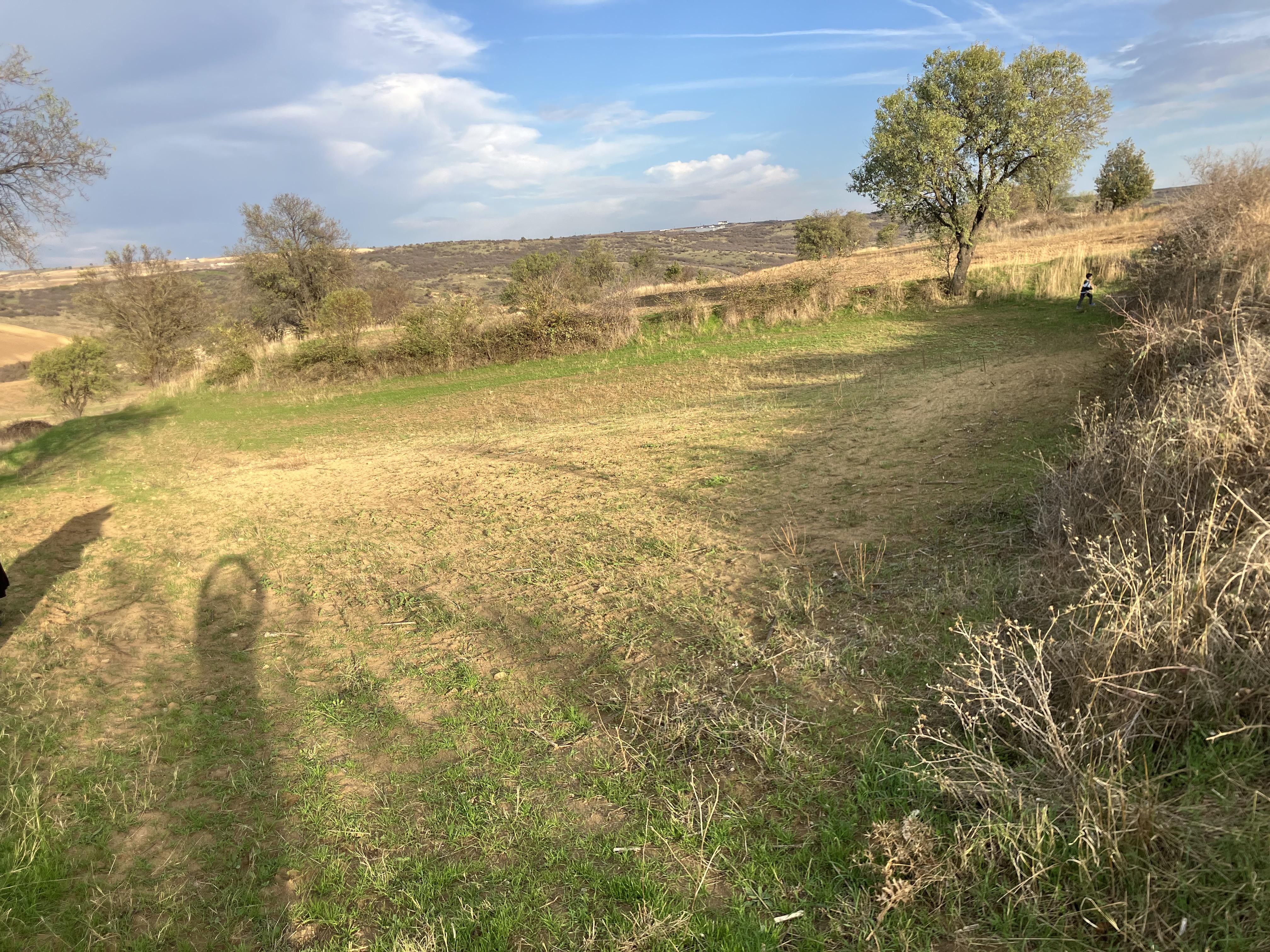 Cihan Kenarlı Kiralık Tarla - 03.11.2025