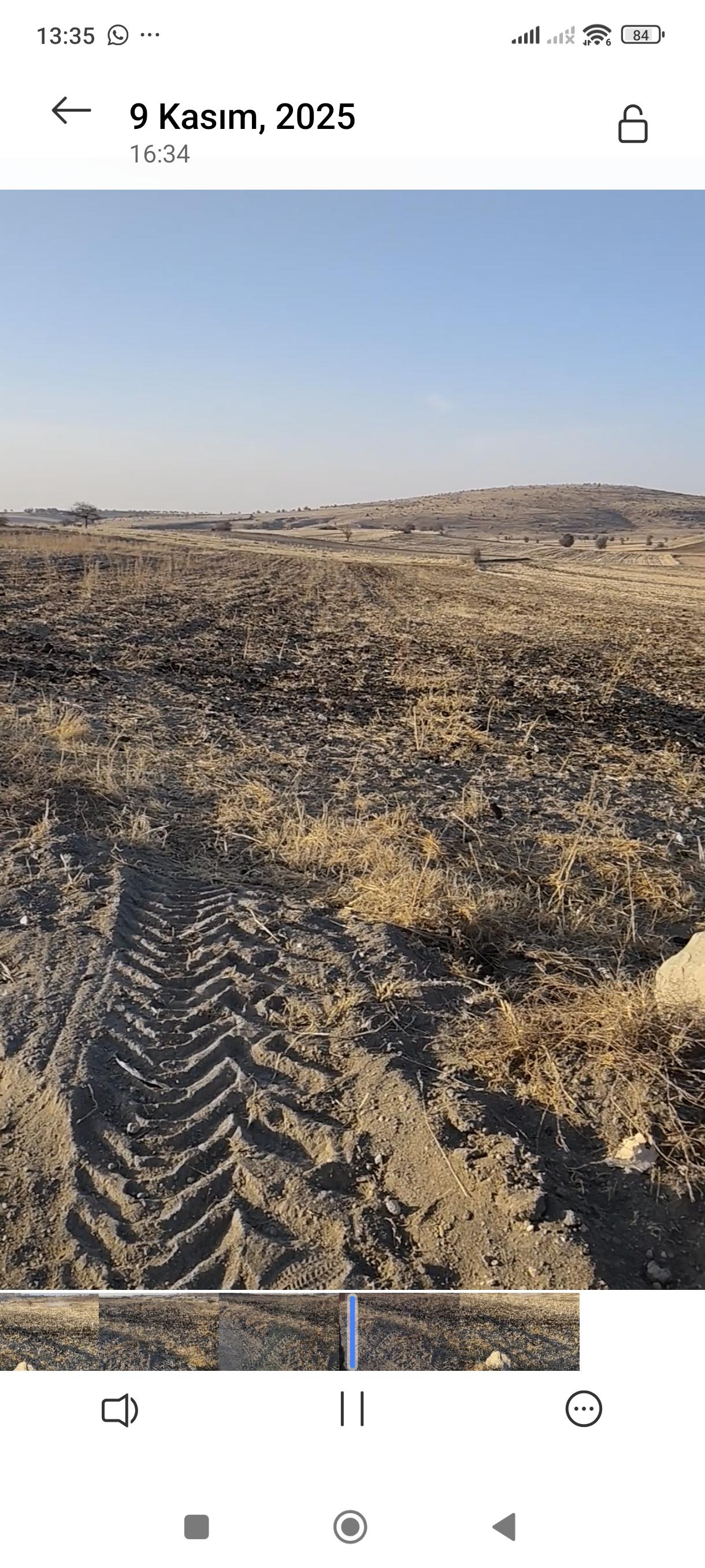 Zekeriya Ekmek Kiralık Tarla - 17.01.2026
