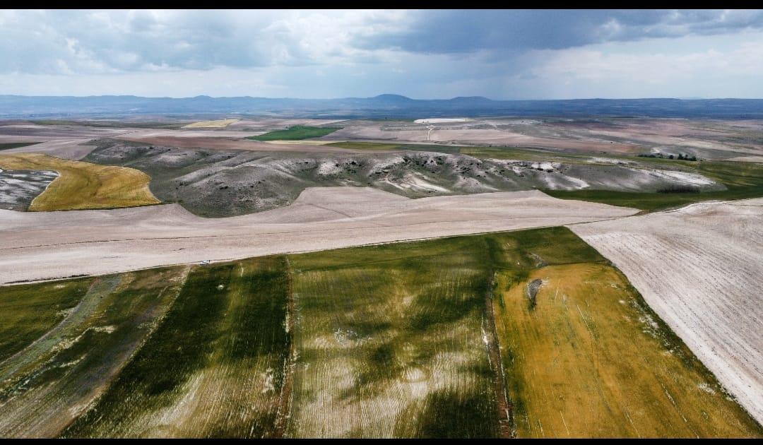 Fatih Uğur Kiralık Tarla - 04.02.2026