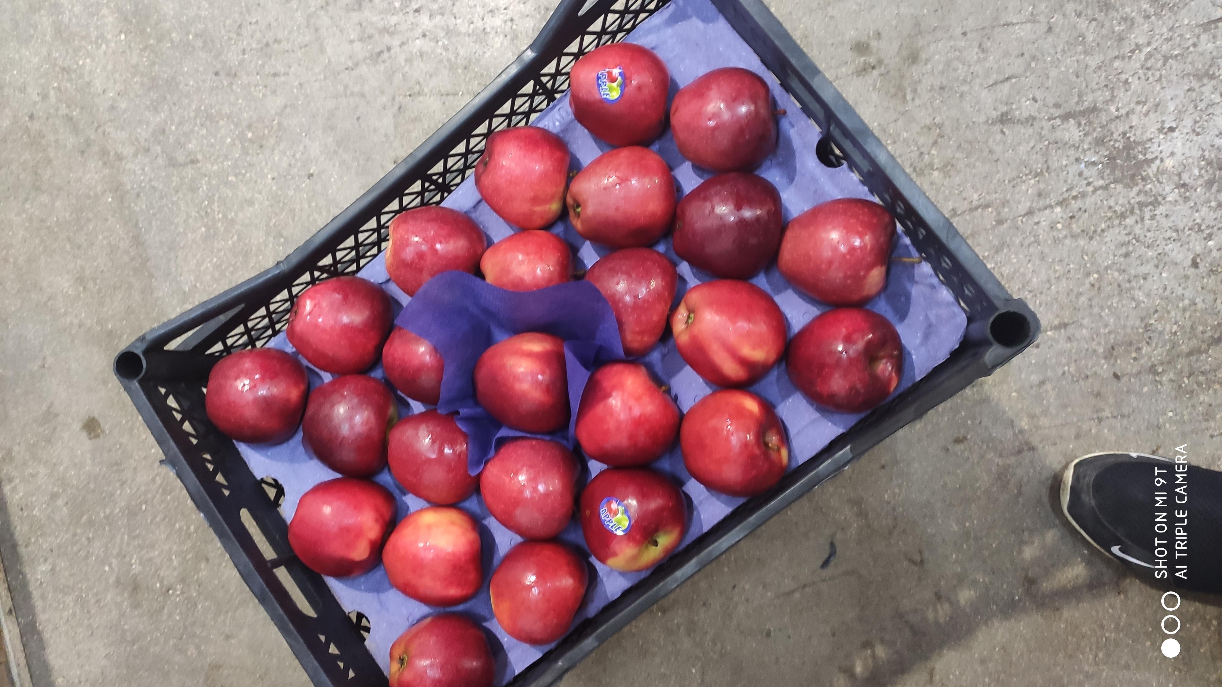 Elma - Ercan Kara tarafından verilen satılık red chıef çeşidi elma  ilanını ve diğer satılık elma ilanlarını tarimziraat.com adresinde bulabilirsiniz