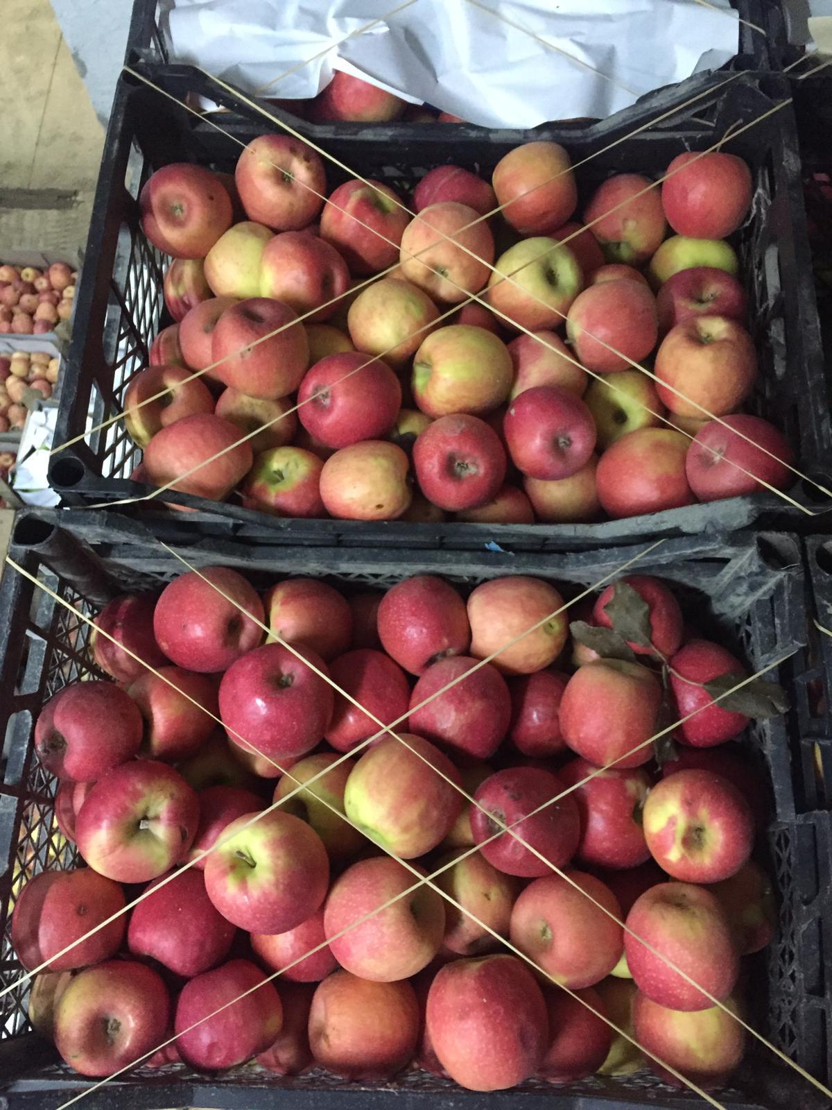 Elma - Pink Lady tarafından verilen satılık pınk lady çeşidi elma  ilanını ve diğer satılık elma ilanlarını tarimziraat.com adresinde bulabilirsiniz