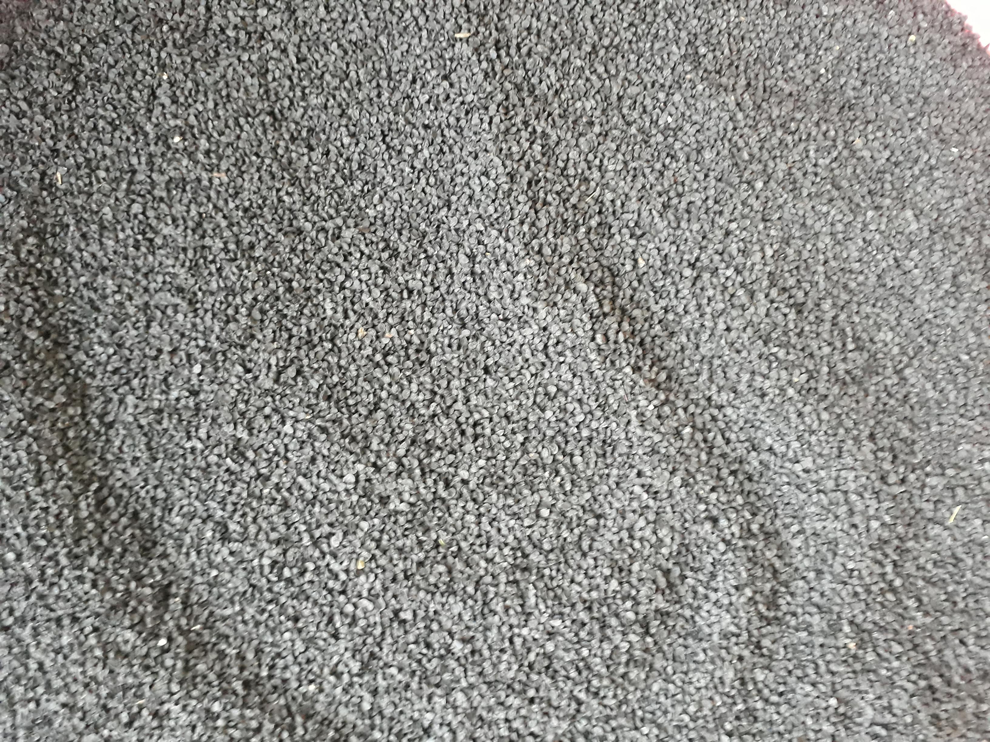 Kuru Soğan tohumu - Üretici Okan Bahadir 500 tl fiyat ile 200 kilogram çorum çeşidi kuru soğan tohumu satmak istiyor
