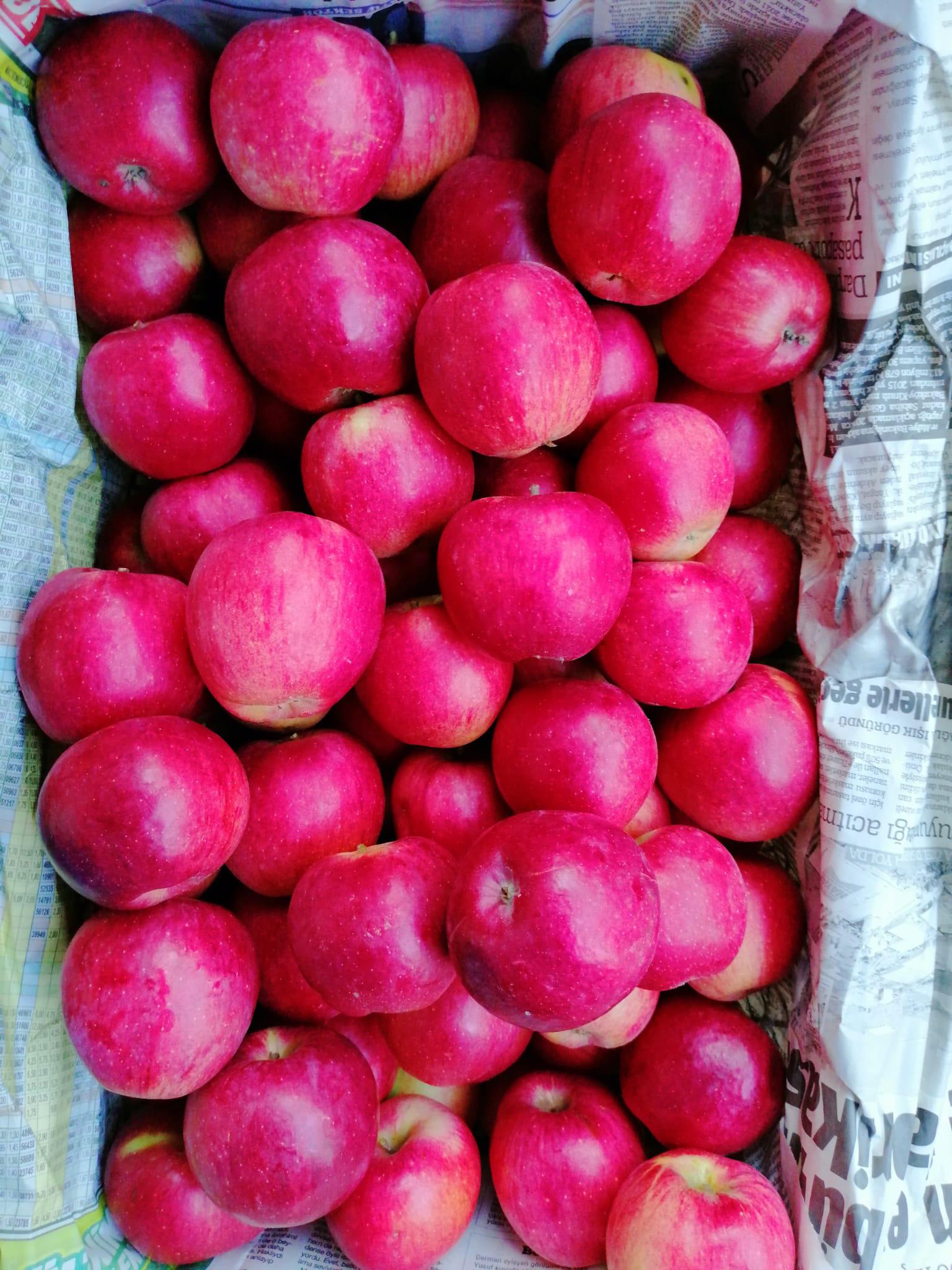 Elma - Fatmanur Nevra tarafından verilen satılık amasya çeşidi elma  ilanını ve diğer satılık elma ilanlarını tarimziraat.com adresinde bulabilirsiniz