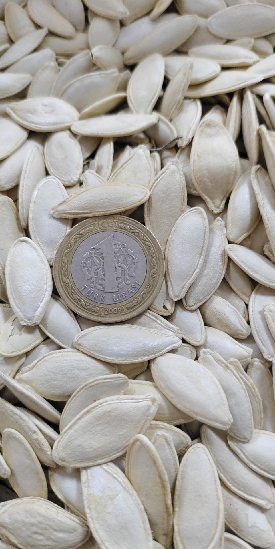 Kabak Çekirdeği - Üretici Gökhan Doğan 35 tl fiyat ile 6.000 kilogram kabak çekirdeği  satmak istiyor