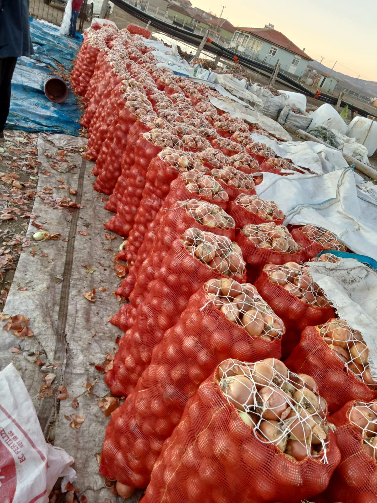 satilik kuru sogan ilanlari tarimziraat com