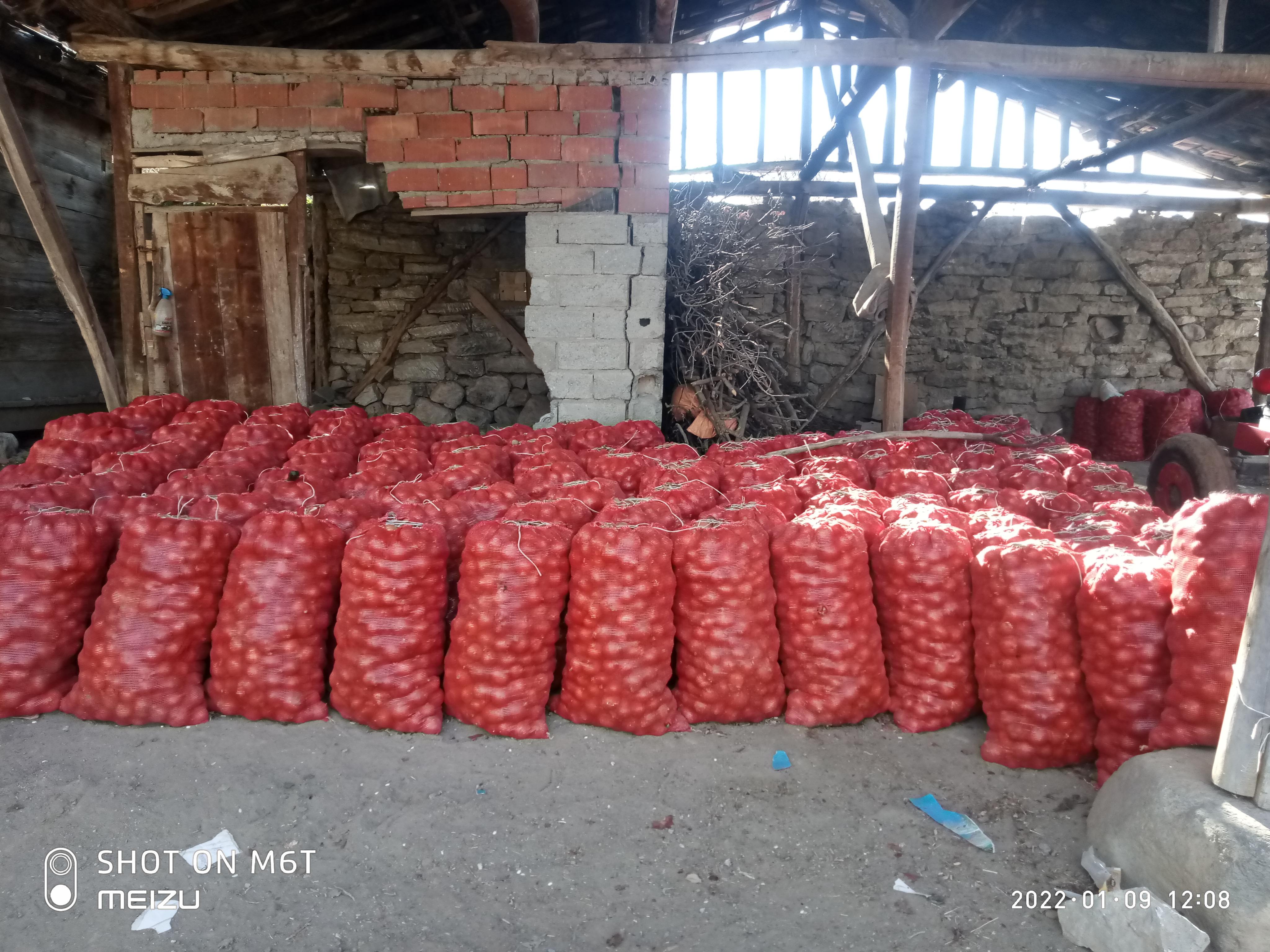 Kuru Soğan - Üretici Mehmet Ali Findik 1 tl fiyat ile 4.500 kilogram kuru soğan  satmak istiyor