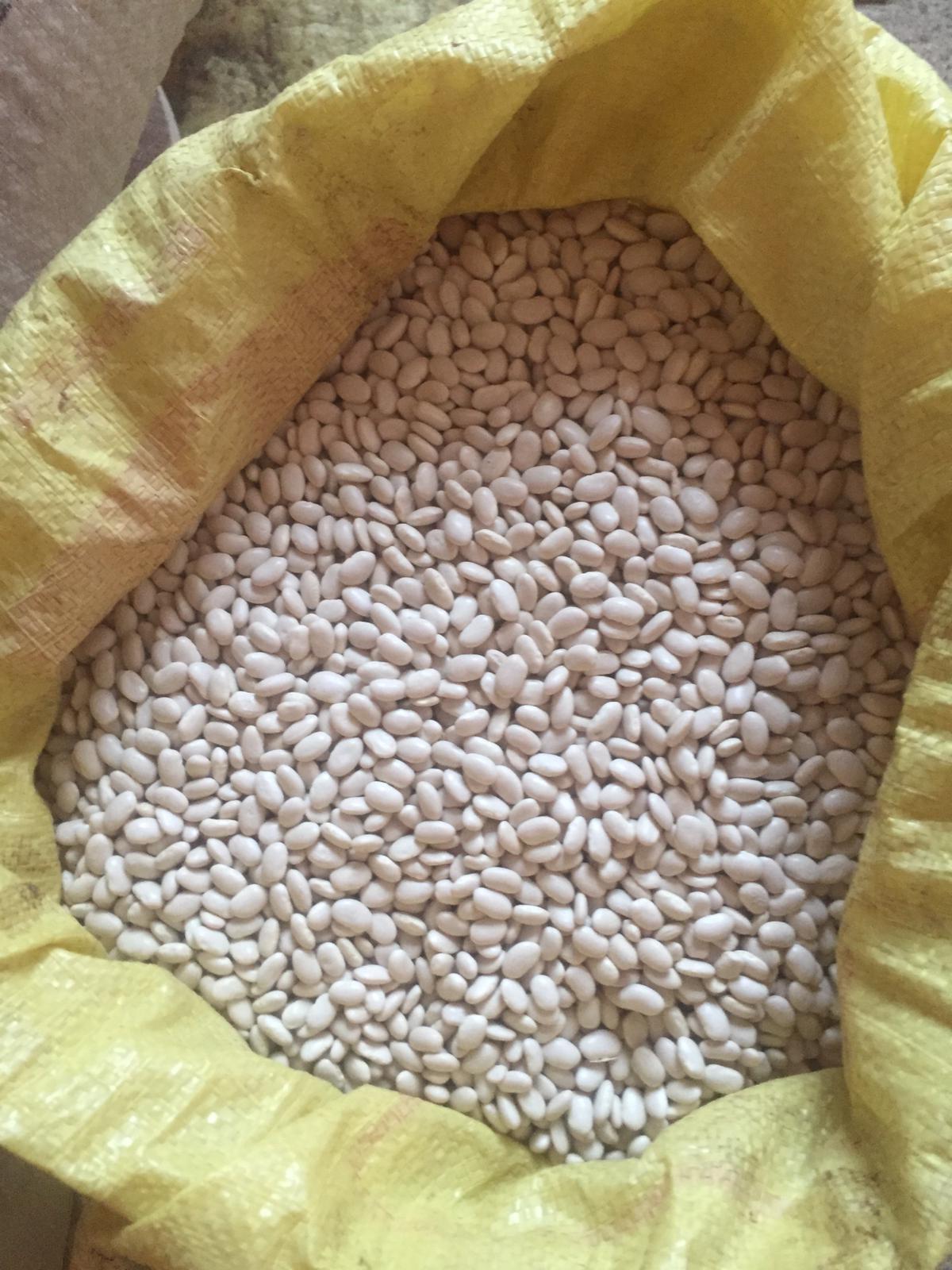 Kuru Fasulye - Üretici murat demir 20 tl fiyat ile 500 kilogram kuru fasulye  satmak istiyor