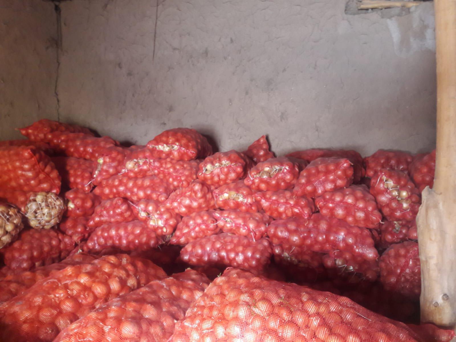 Kuru Soğan - Üretici Erdem Gülönü 1200 tl fiyat ile 20 kilogram viktorya çeşidi kuru soğan satmak istiyor