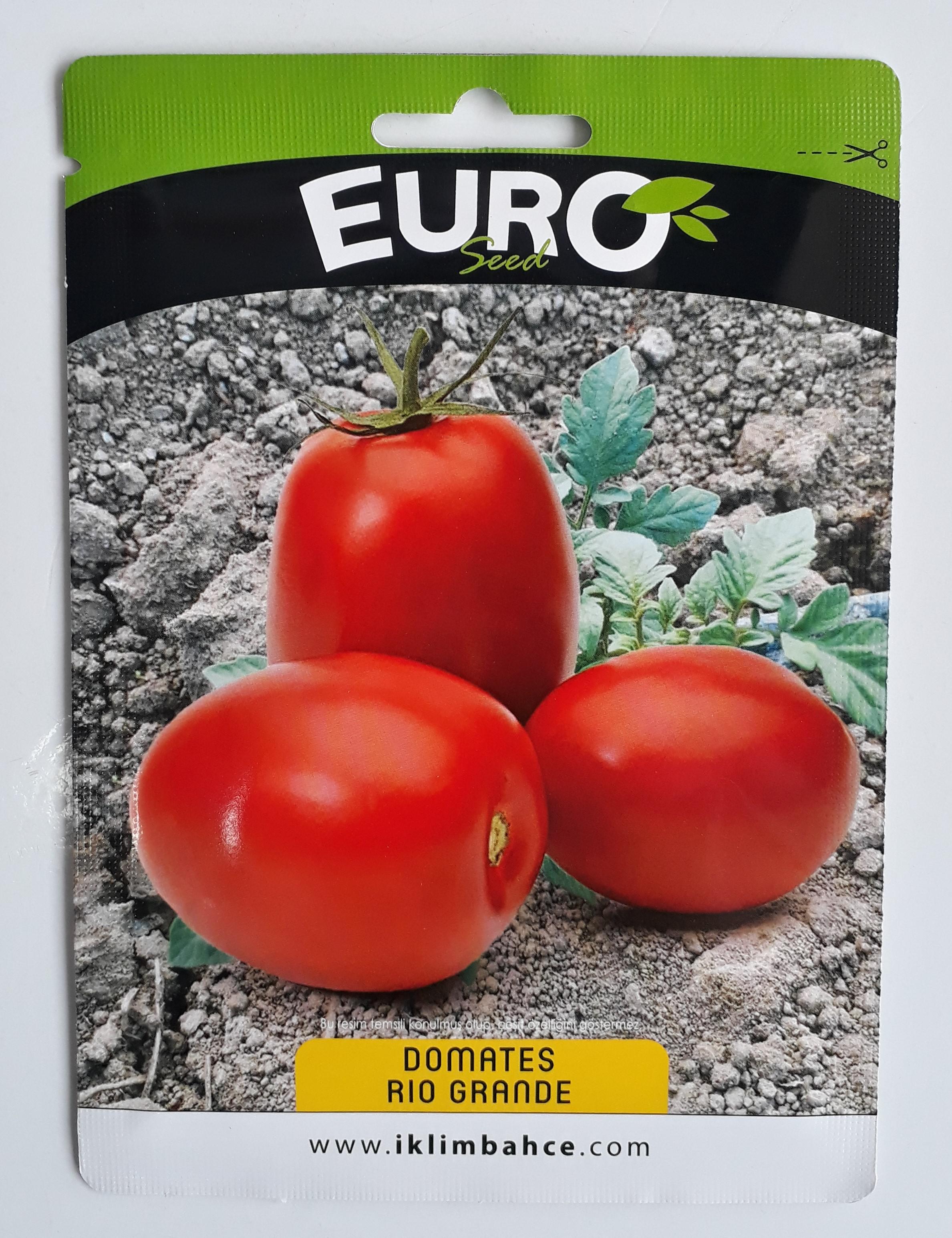 Domates tohumu - ABDULLAH BAŞOĞUL abdullahbasogul69@gmail.com tarafından verilen satılık domates tohumu ilanını ve diğer satılık domates tohumu ilanlarını tarimziraat.com adresinde bulabilirsiniz