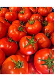 Domates - Gürcan Caymaz tarafından verilen domates alım ilanını ve diğer domates alım ilanlarını tarimziraat.com adresinde bulabilirsiniz