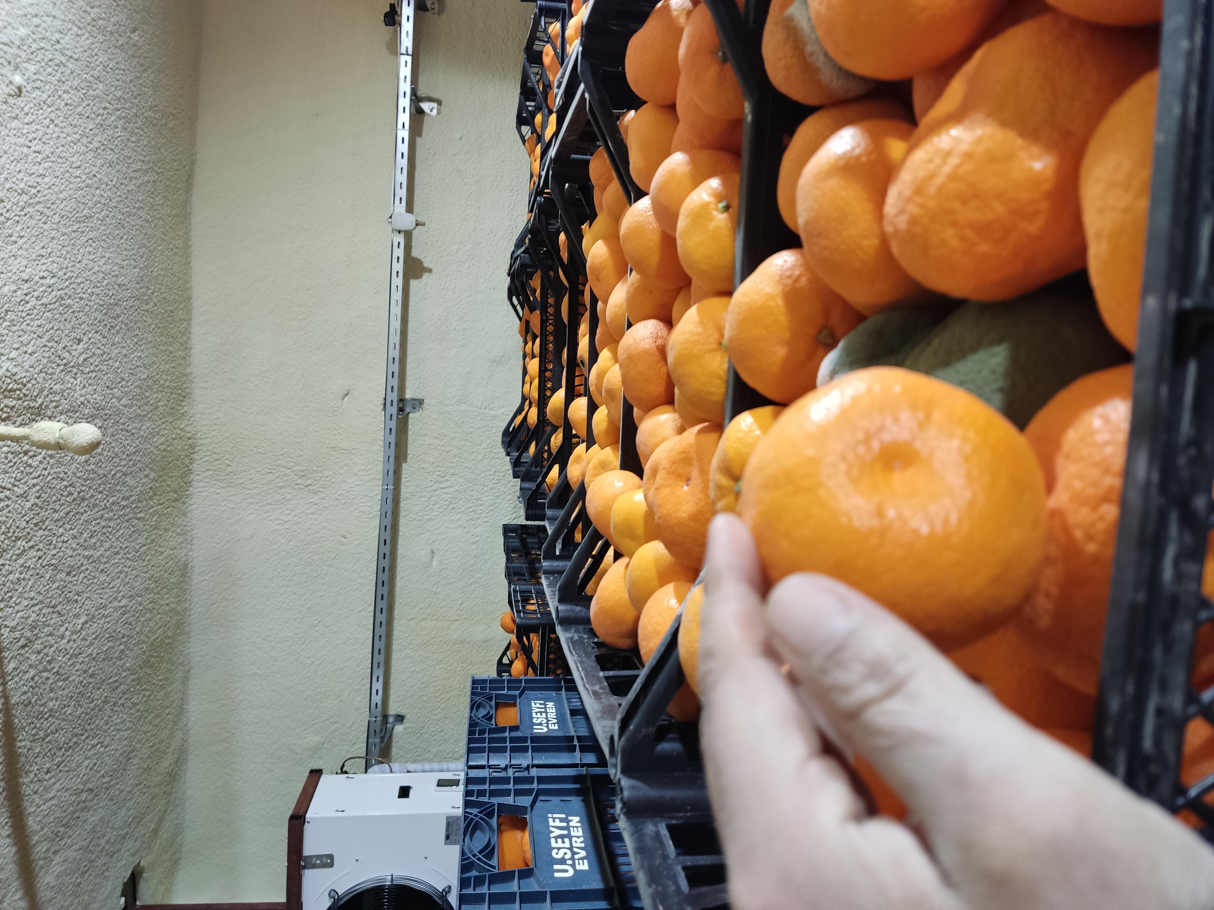 Mersin Akdeniz Satılık Mandalina