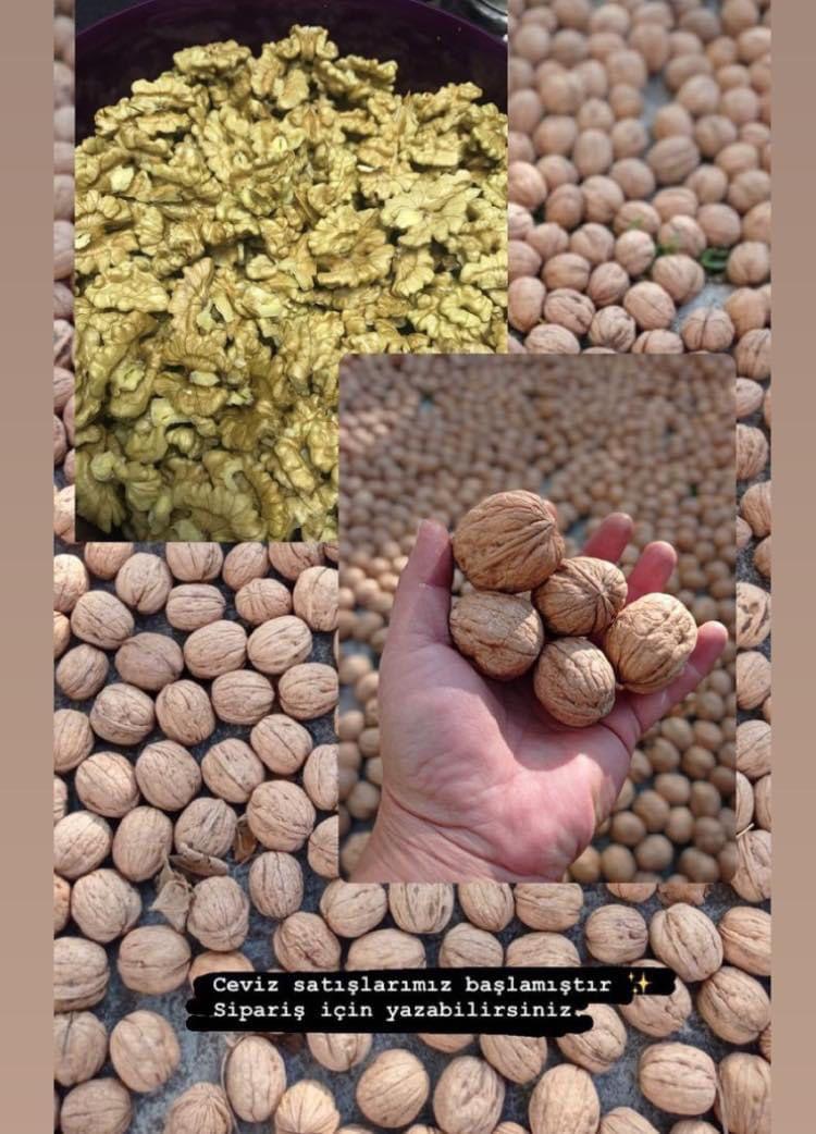 Edirne Enez Satılık Ceviz