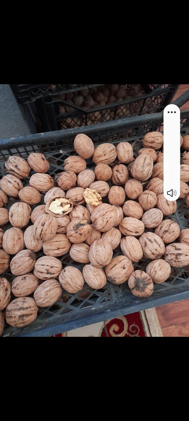 Çanakkale Biga Satılık Ceviz