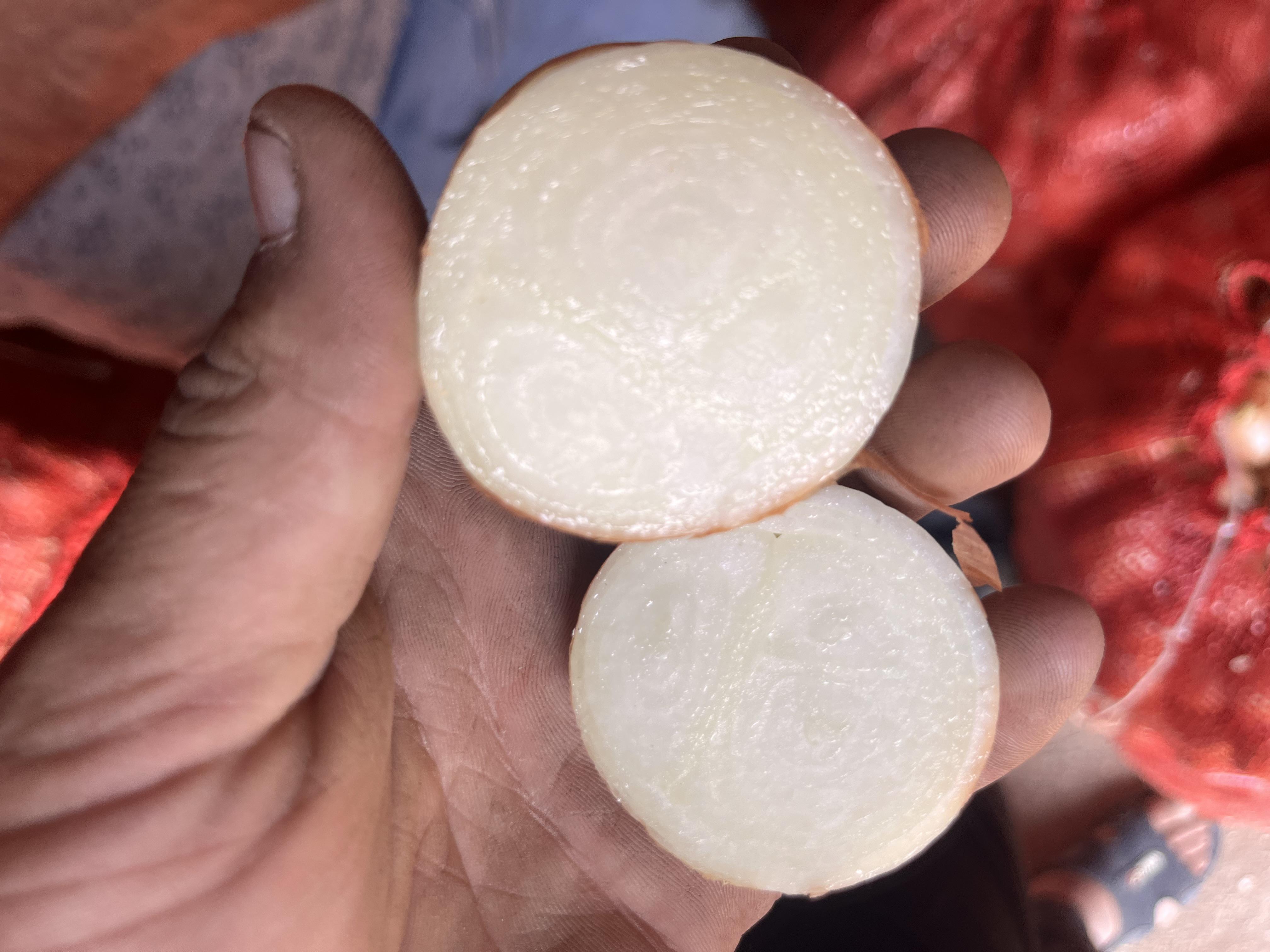 Kuru Soğan - Ethem Karabörk tarafından verilen satılık kuru soğan ilanını ve diğer satılık kuru soğan ilanlarını tarimziraat.com adresinde bulabilirsiniz