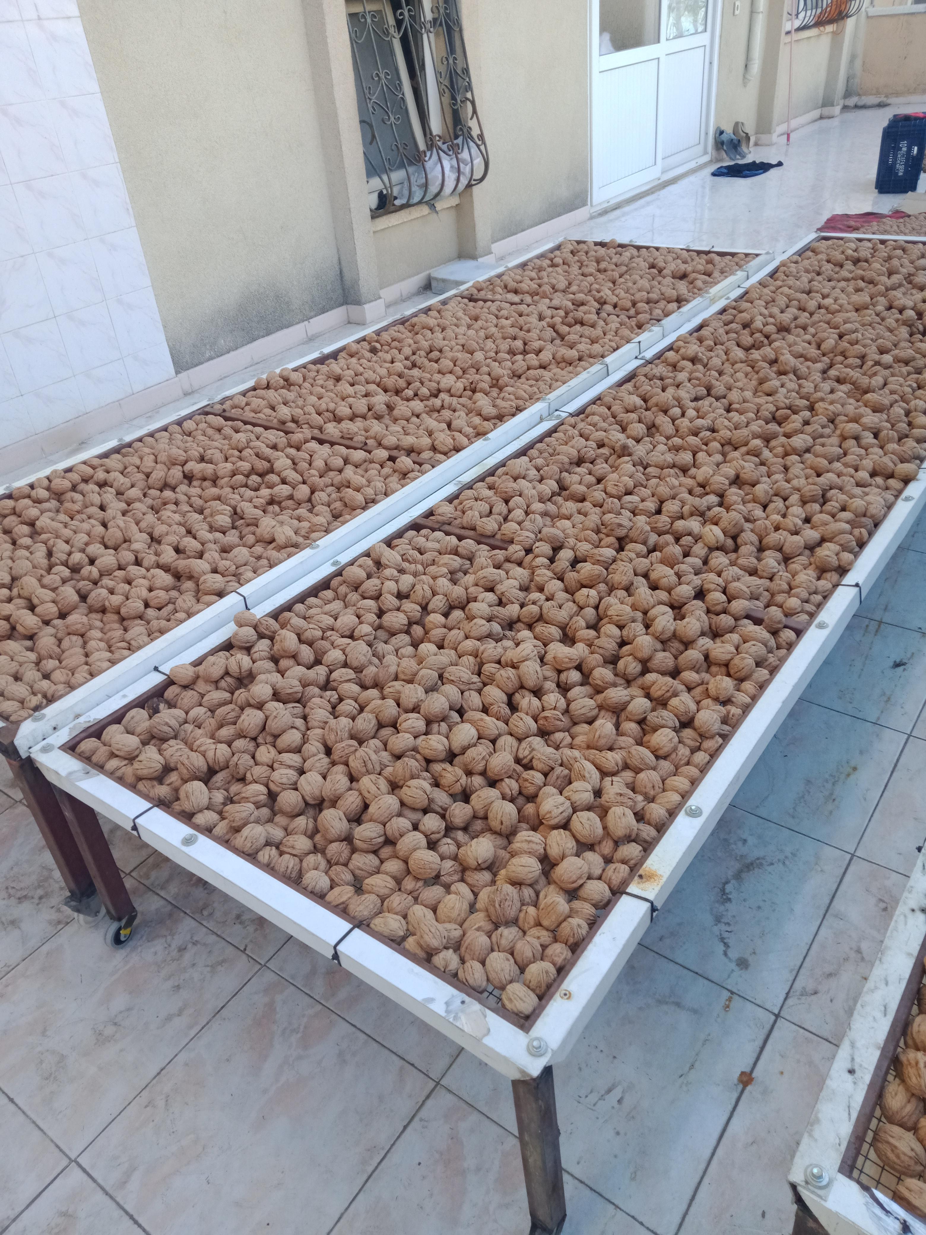 Mersin Erdemli Satılık Ceviz