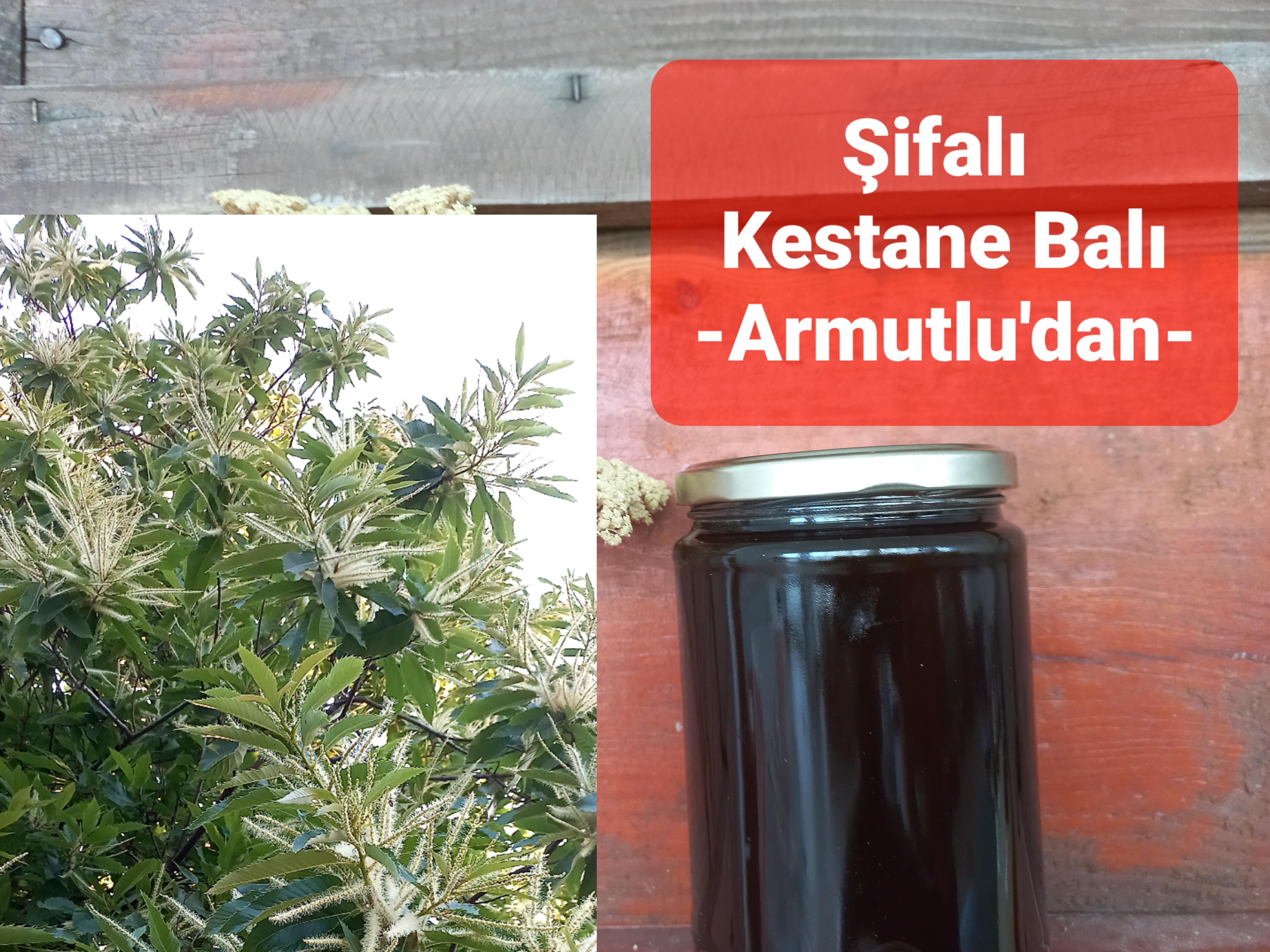 Yalova Armutlu Satılık Bal Kabağı