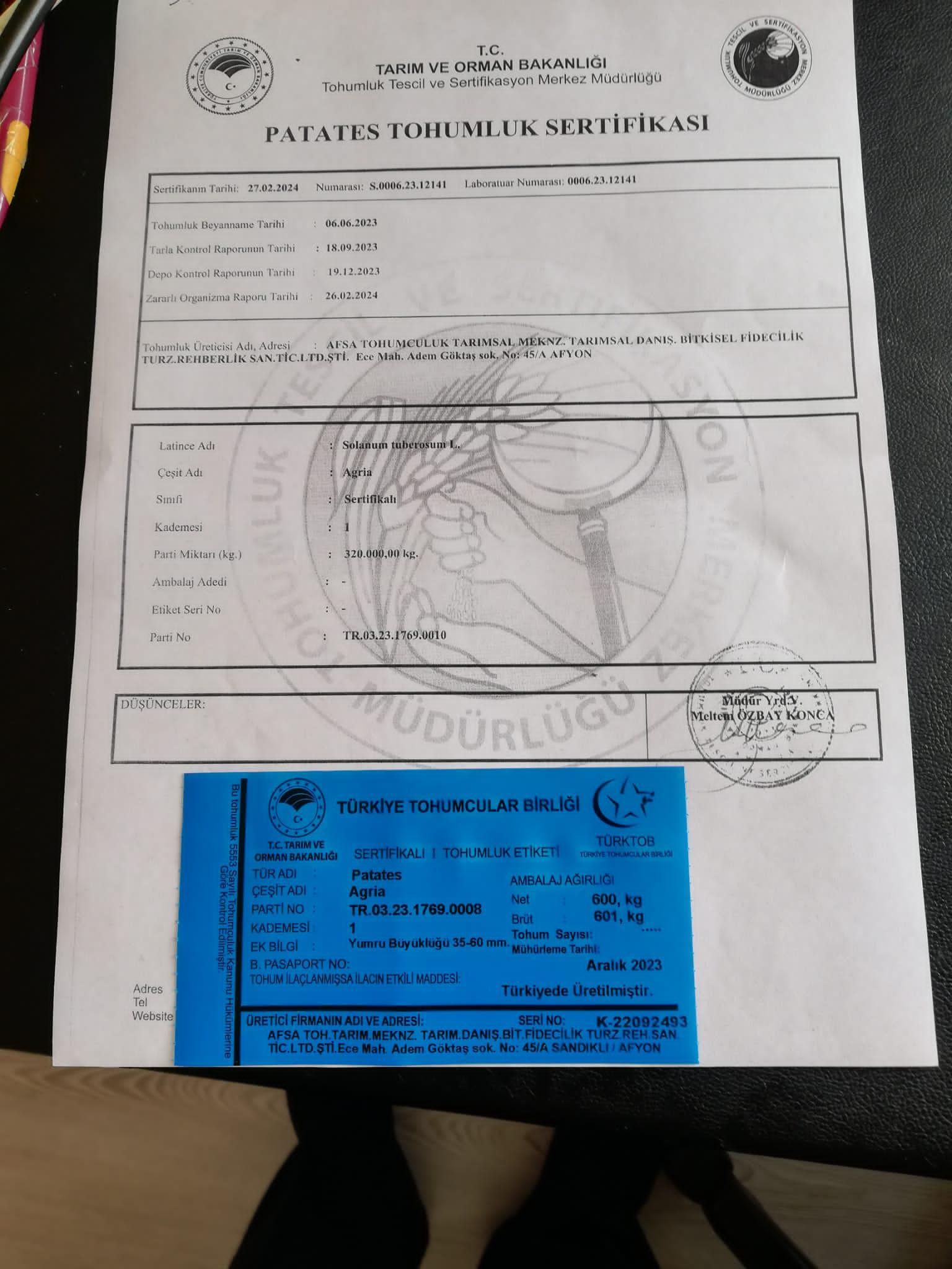 Ali Binbir Satılık Patates tohumu - 20.03.2024