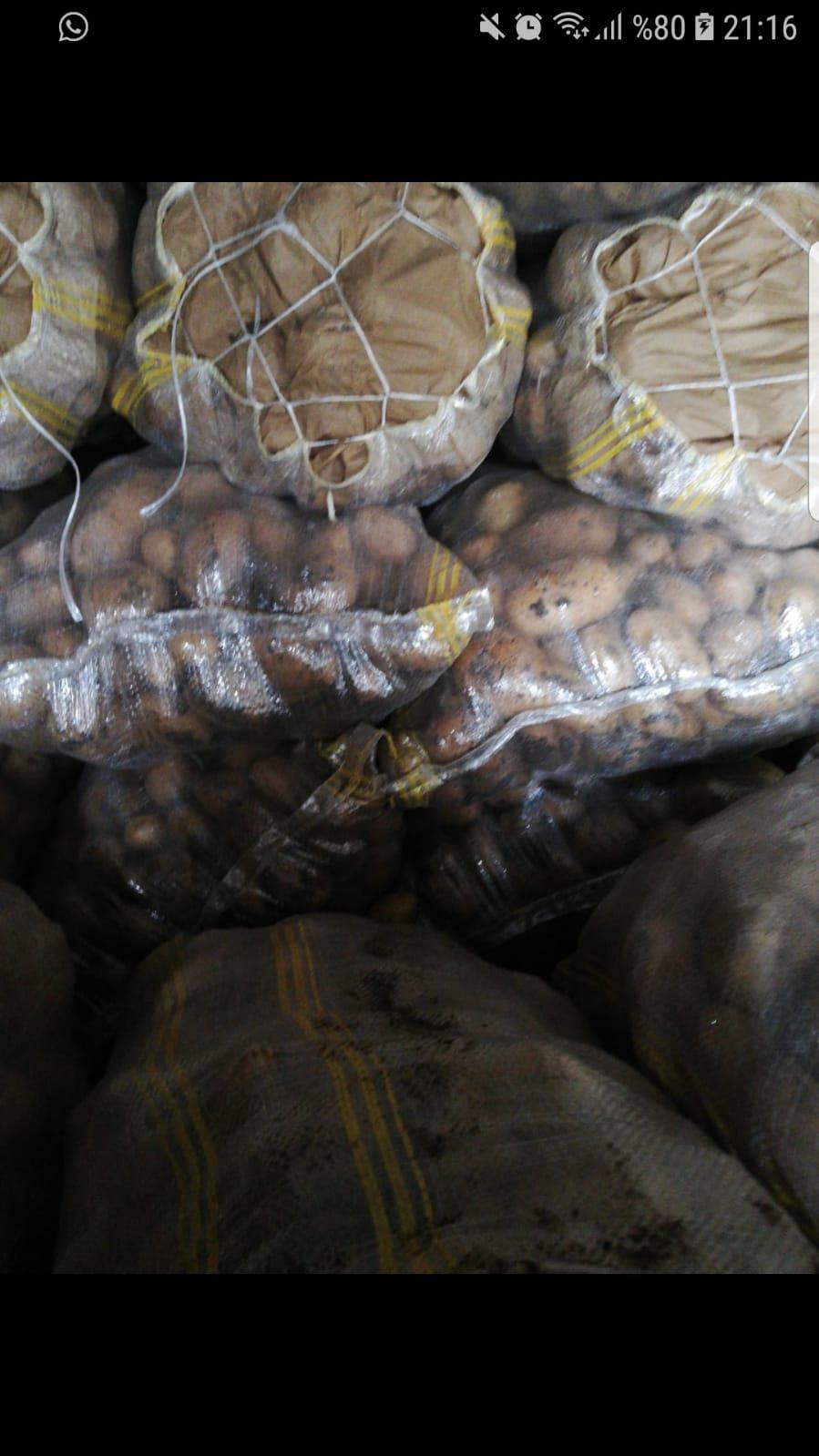 Afyonkarahisar Sandıklı Satılık Patates tohumu