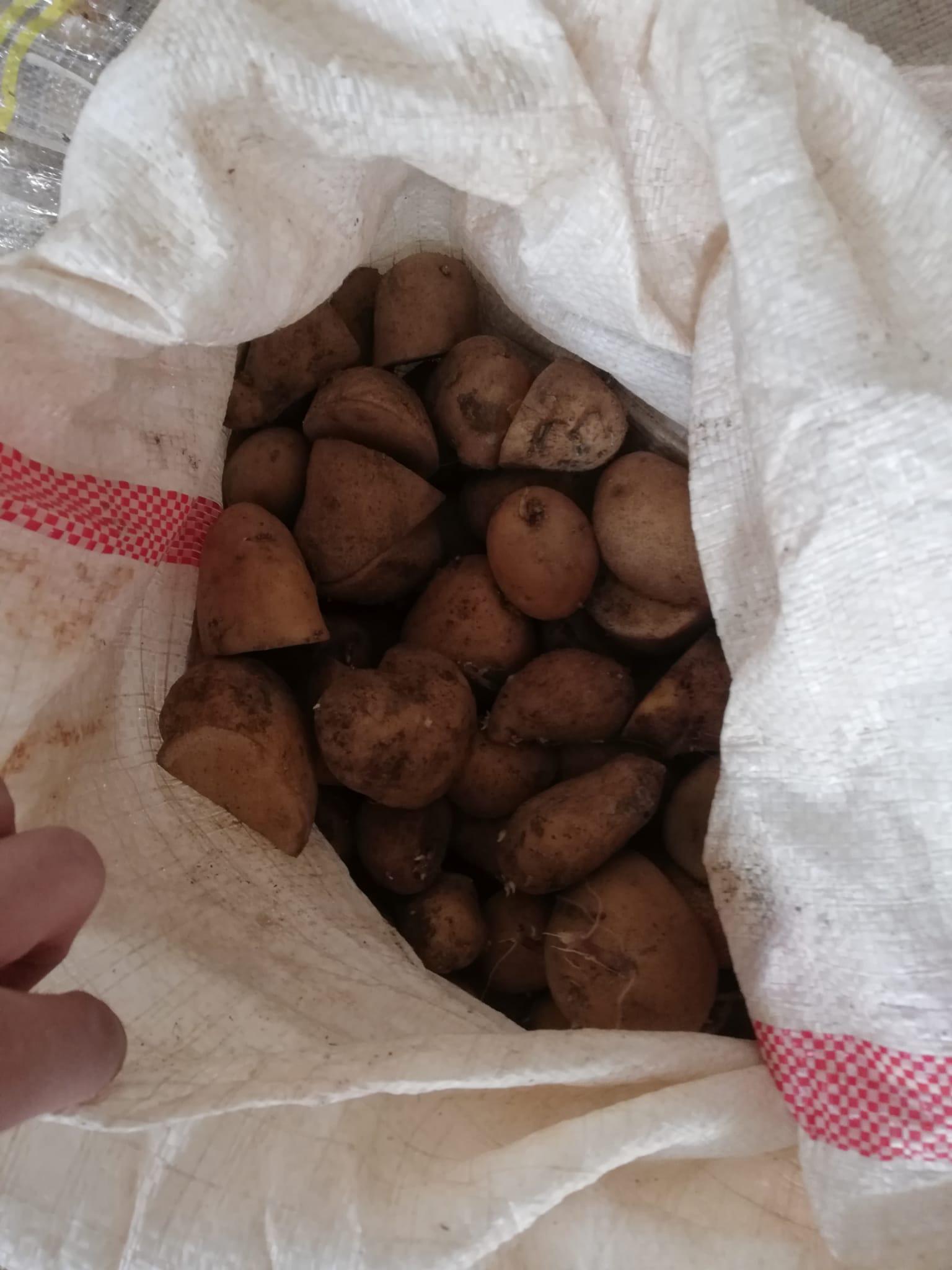 Afyonkarahisar Sandıklı Satılık Patates