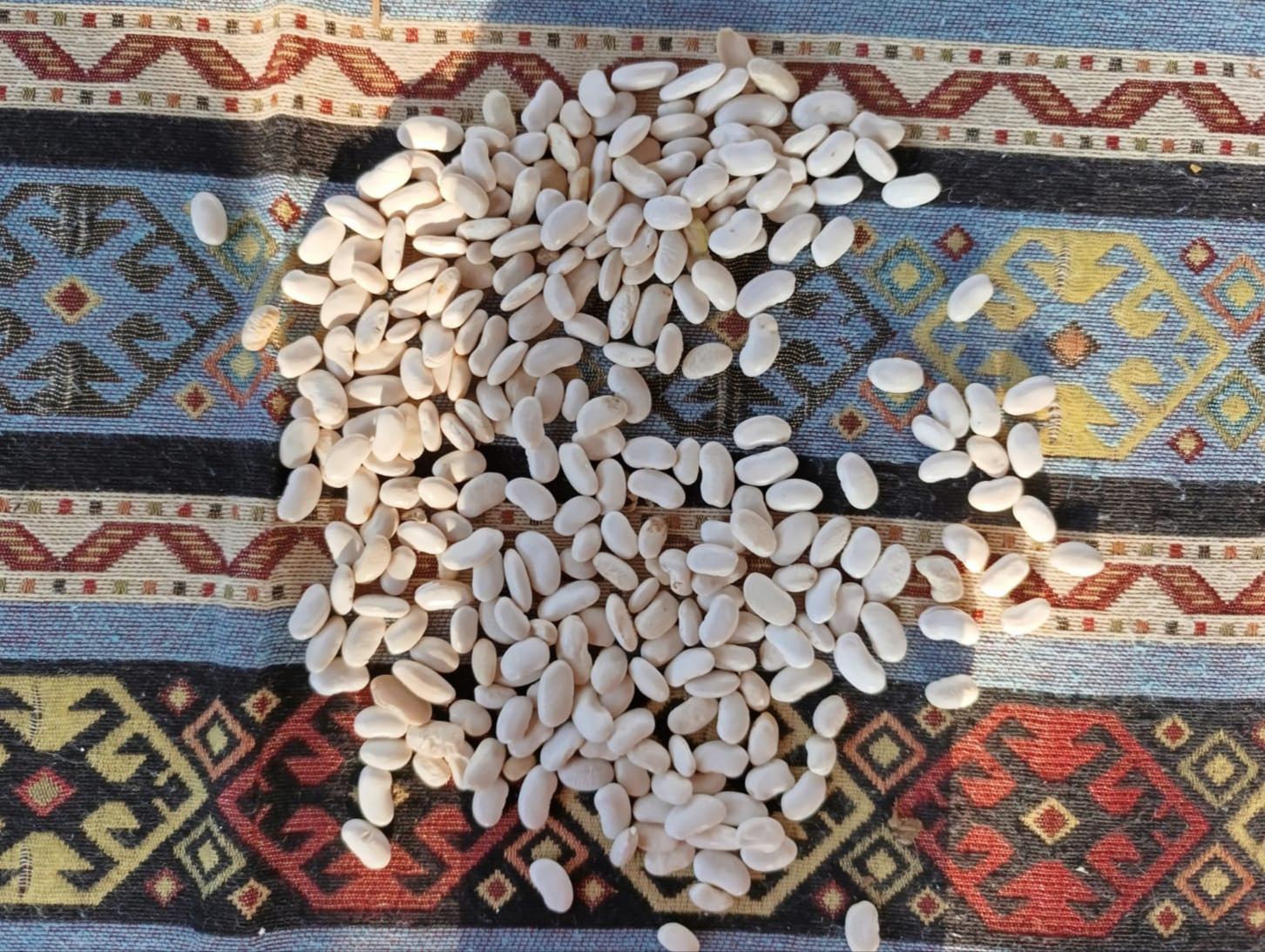 Fasulye (kuru) - Tahsin Uslu tarafından verilen satılık fasulye (kuru) ilanını ve diğer satılık fasulye (kuru) ilanlarını tarimziraat.com adresinde bulabilirsiniz