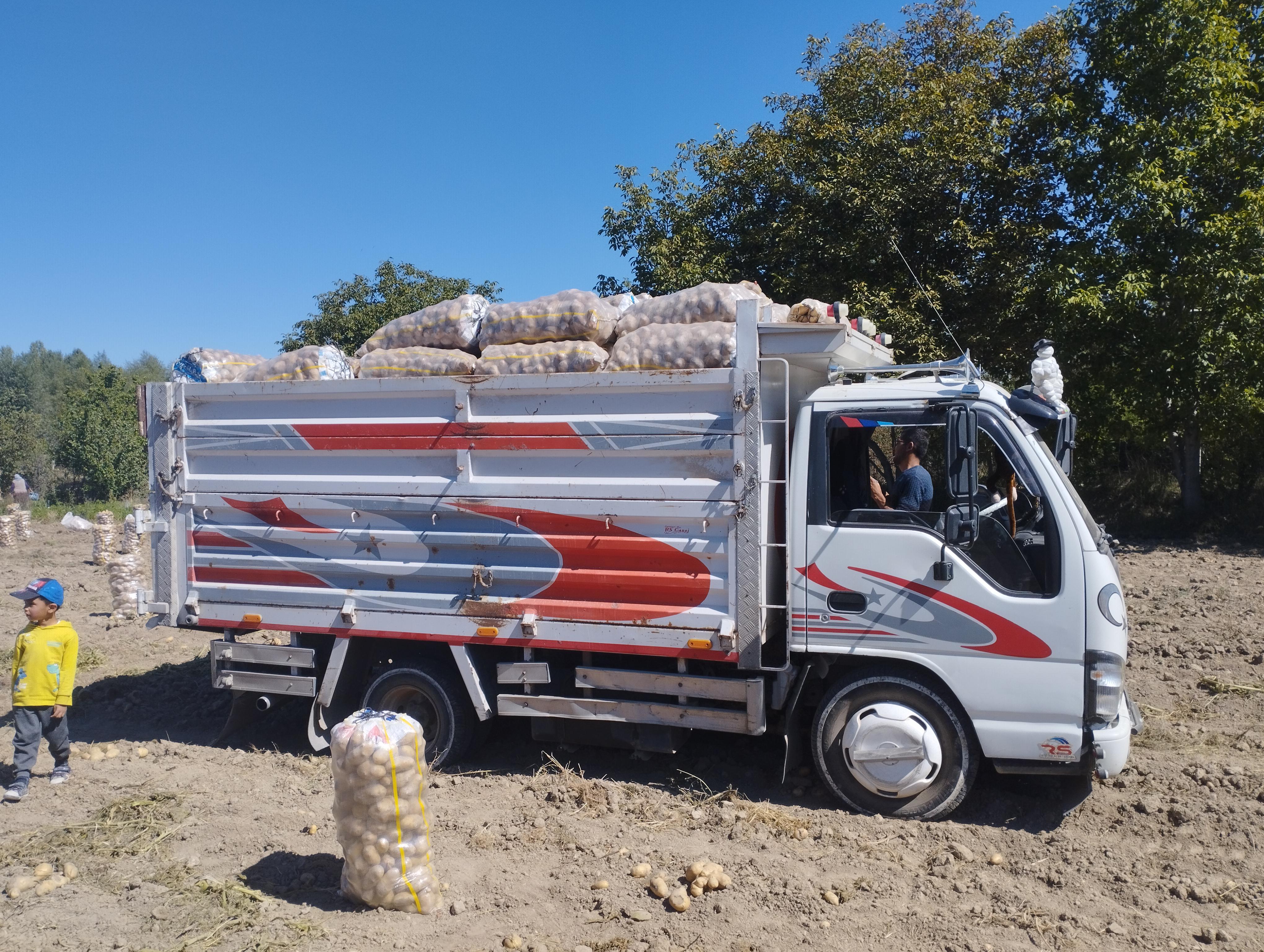 Ibrahim Şimşek Satılık Patates - 19.10.2024
