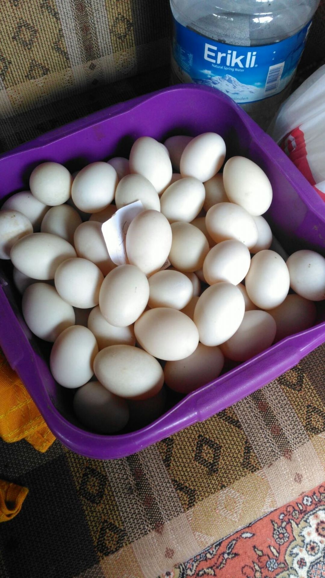 Ördek yumurtası - Mücahit Özen tarafından verilen satılık pekin çeşidi ördek yumurtası  ilanını ve diğer satılık ördek yumurtası ilanlarını tarimziraat.com adresinde bulabilirsiniz