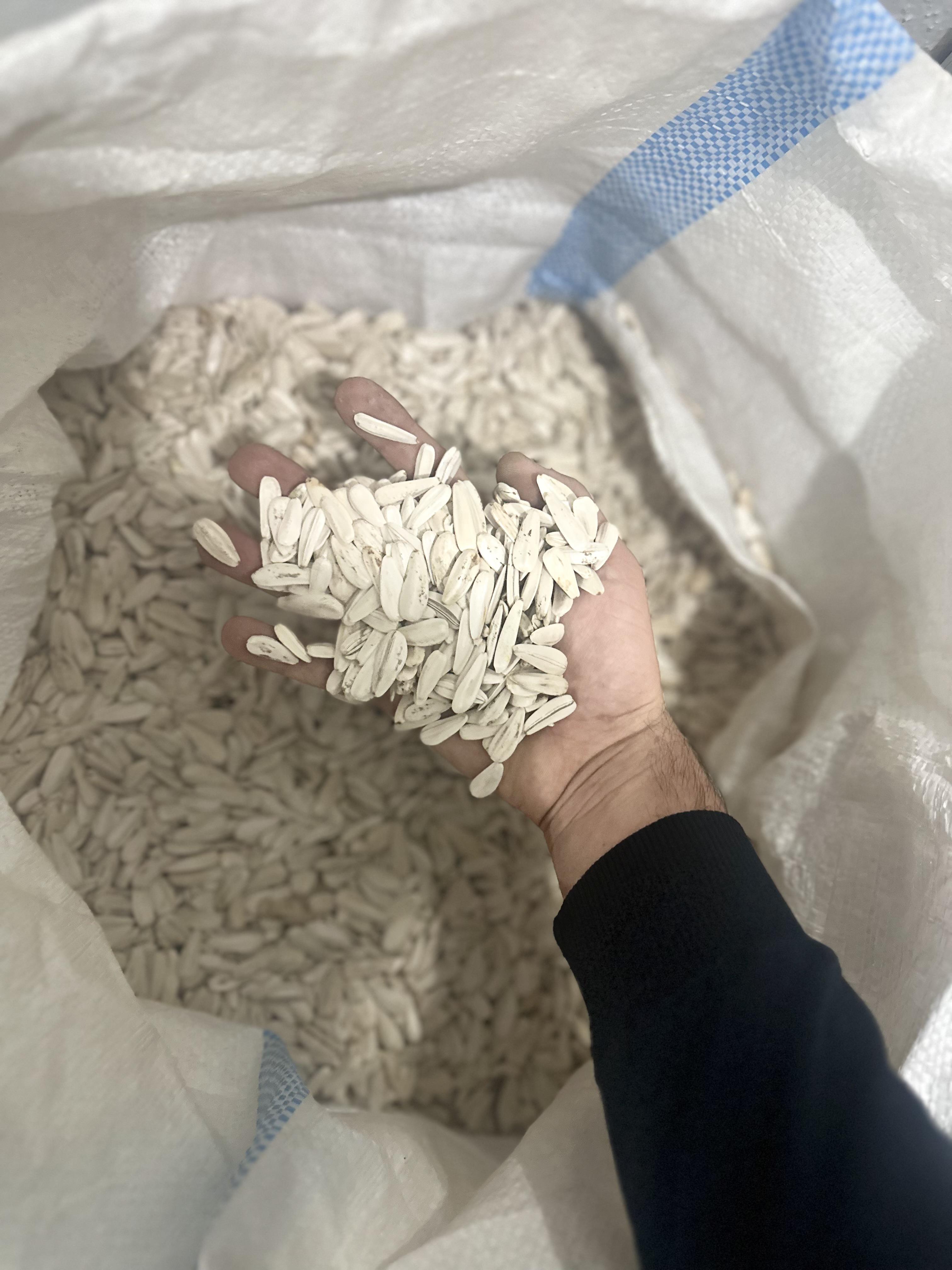 Bursa Yenişehir Satılık Ay çekirdeği