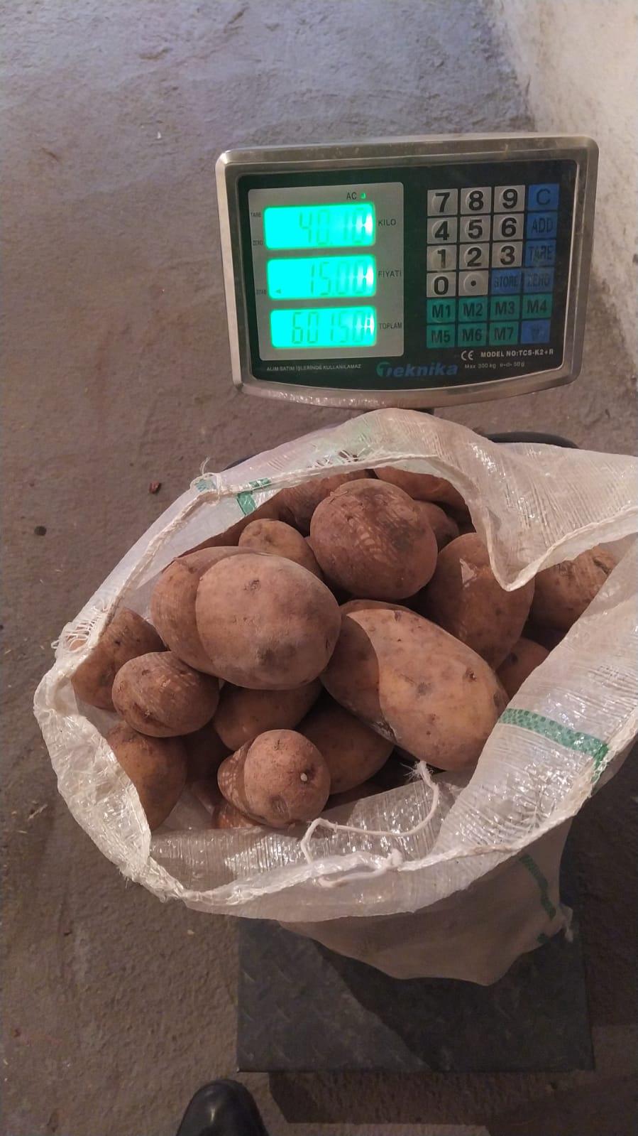 Patates tohumu - Dursun Hasdemir tarafından verilen satılık patates tohumu ilanını ve diğer satılık patates tohumu ilanlarını tarimziraat.com adresinde bulabilirsiniz