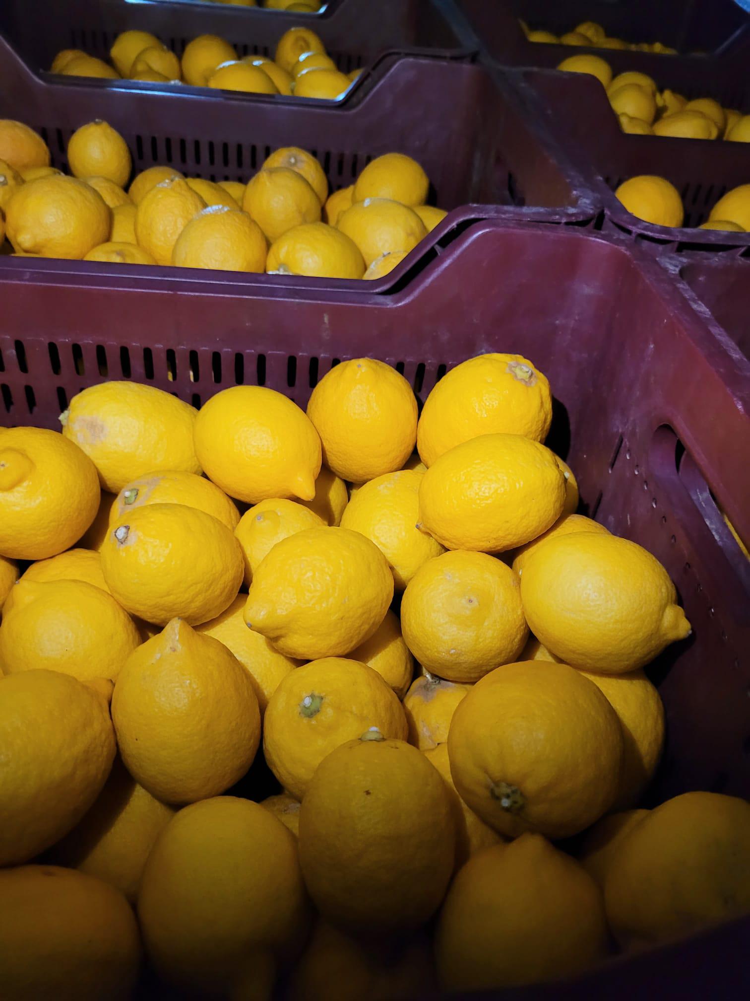 Mersin Mezitli Satılık Limon