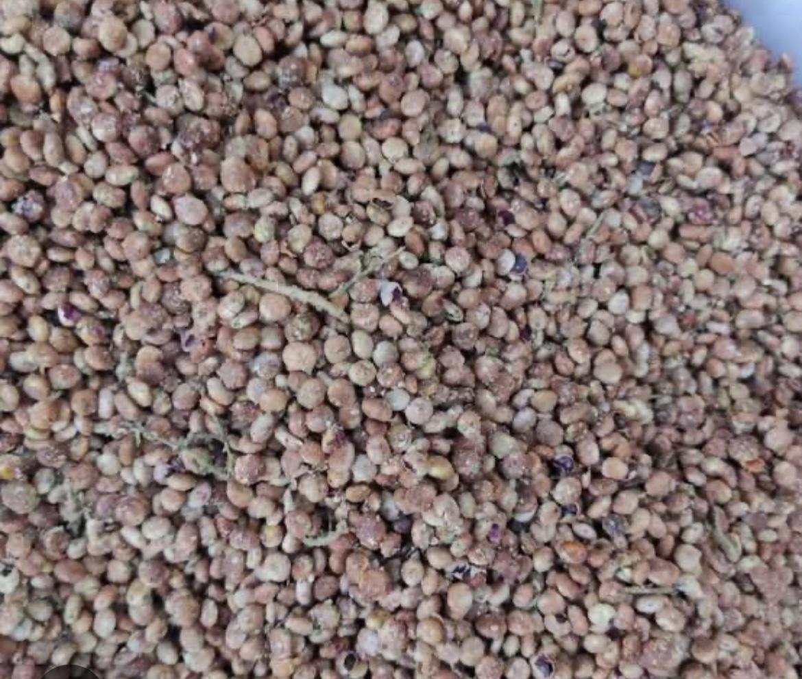 Adıyaman Gölbaşı Satılık Sumak
