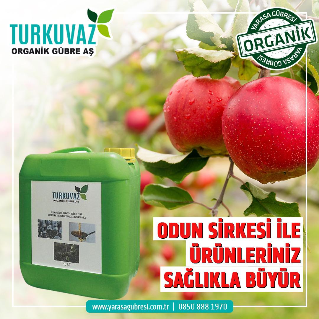 Eskişehir Odunpazarı Satılık Yarasa Gübresi