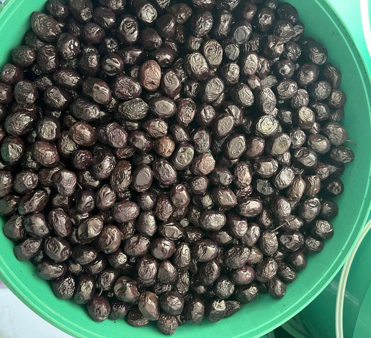 Zeytin - Hüseyin Erdinç tarafından verilen satılık zeytin ilanını ve diğer satılık zeytin ilanlarını tarimziraat.com adresinde bulabilirsiniz