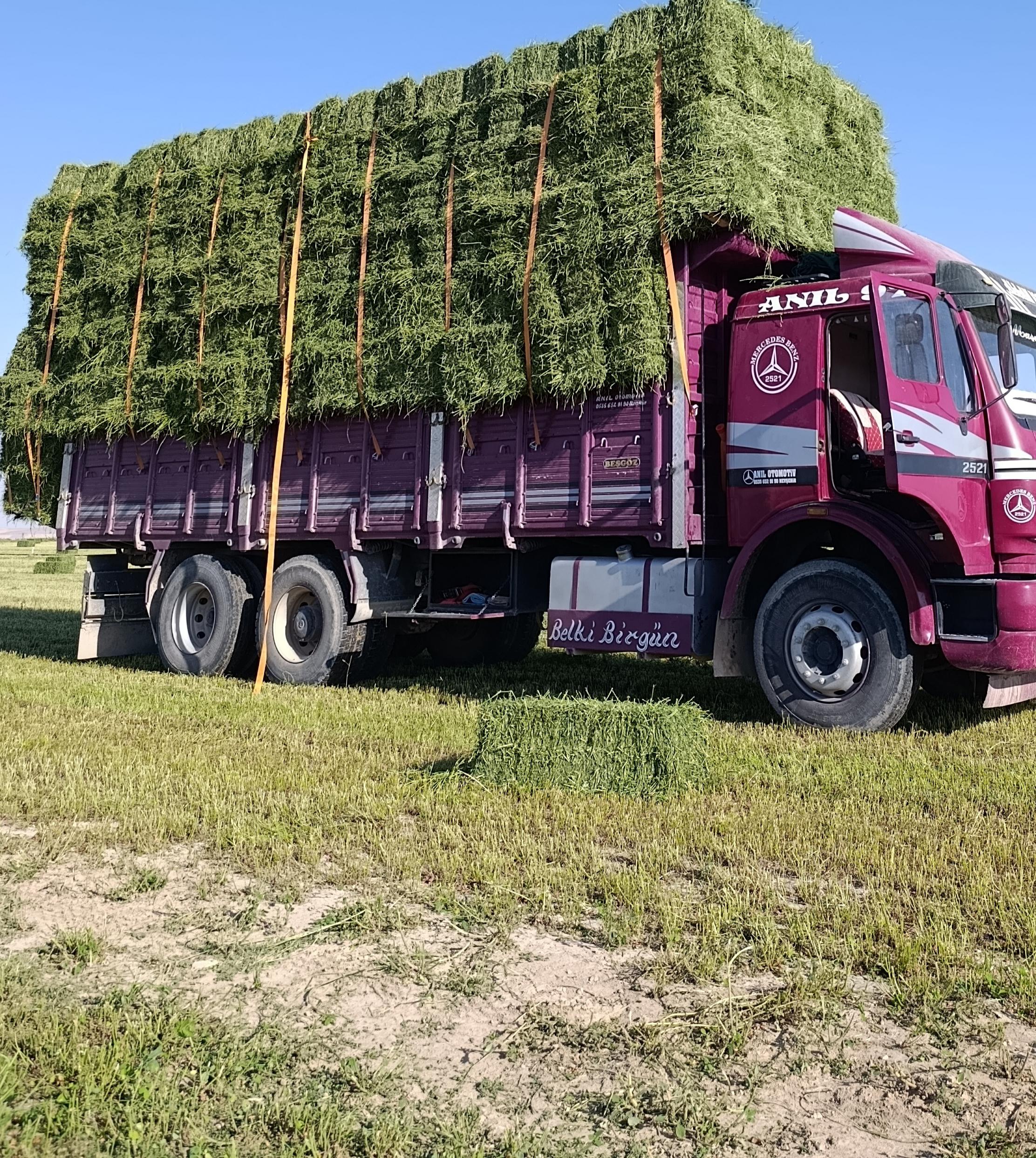 Kırşehir Merkez Satılık Yonca Balyası