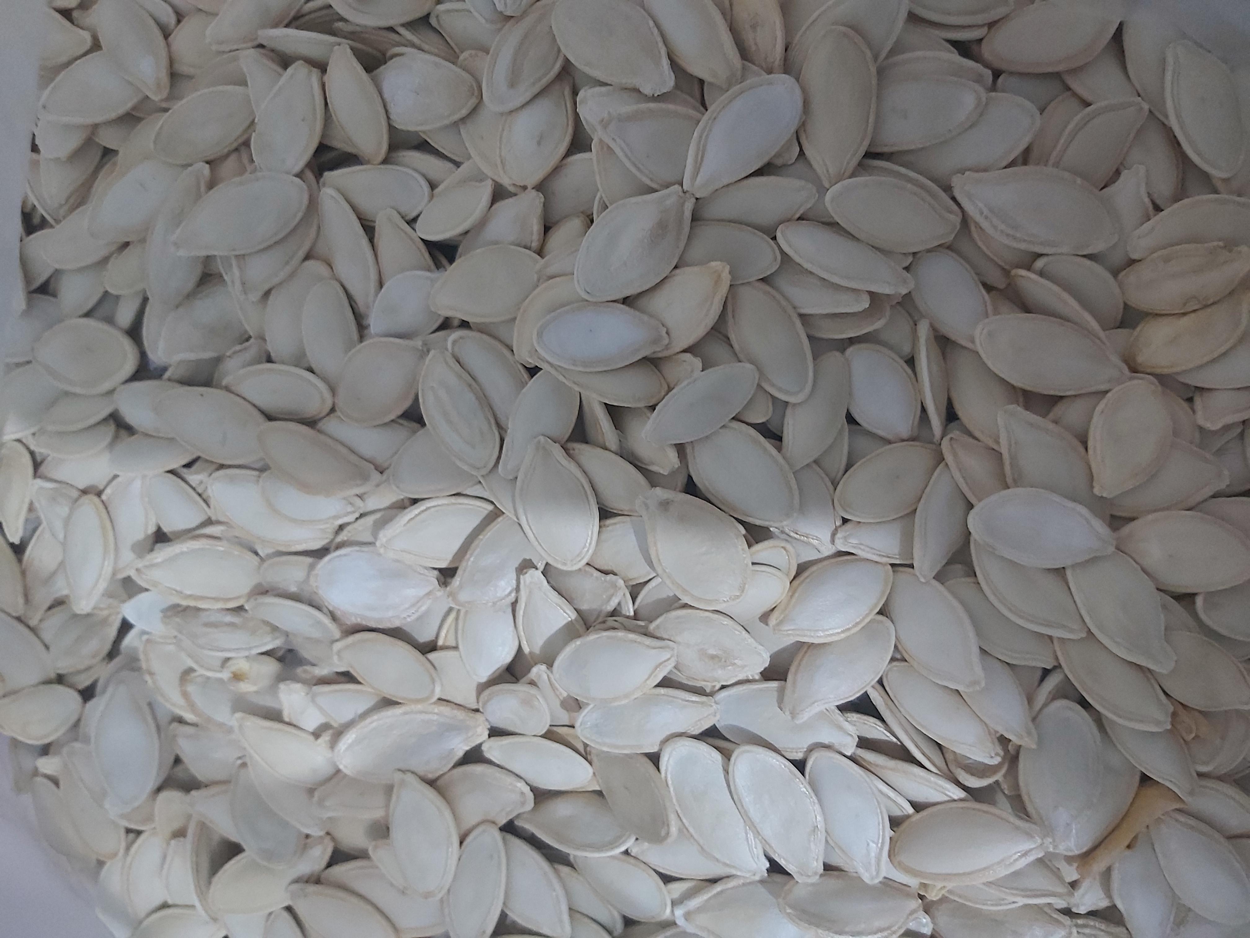 Cebrail Özdemir Satılık Kabak Çekirdeği - 03.11.2025