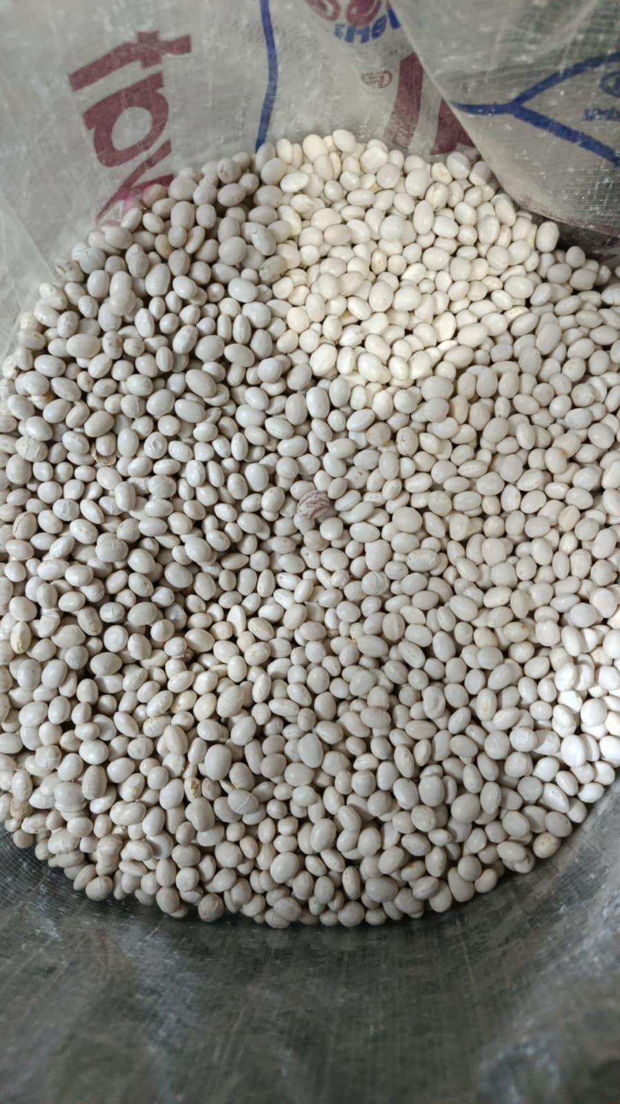 Aydın Efeler Satılık Fasulye (kuru)