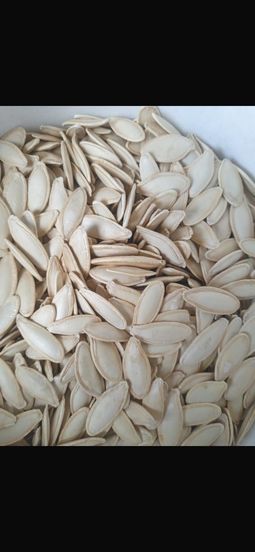 Kabak Çekirdeği - Ahmet Can tarafından verilen satılık tg 22 çeşidi kabak çekirdeği  ilanını ve diğer satılık kabak çekirdeği ilanlarını tarimziraat.com adresinde bulabilirsiniz