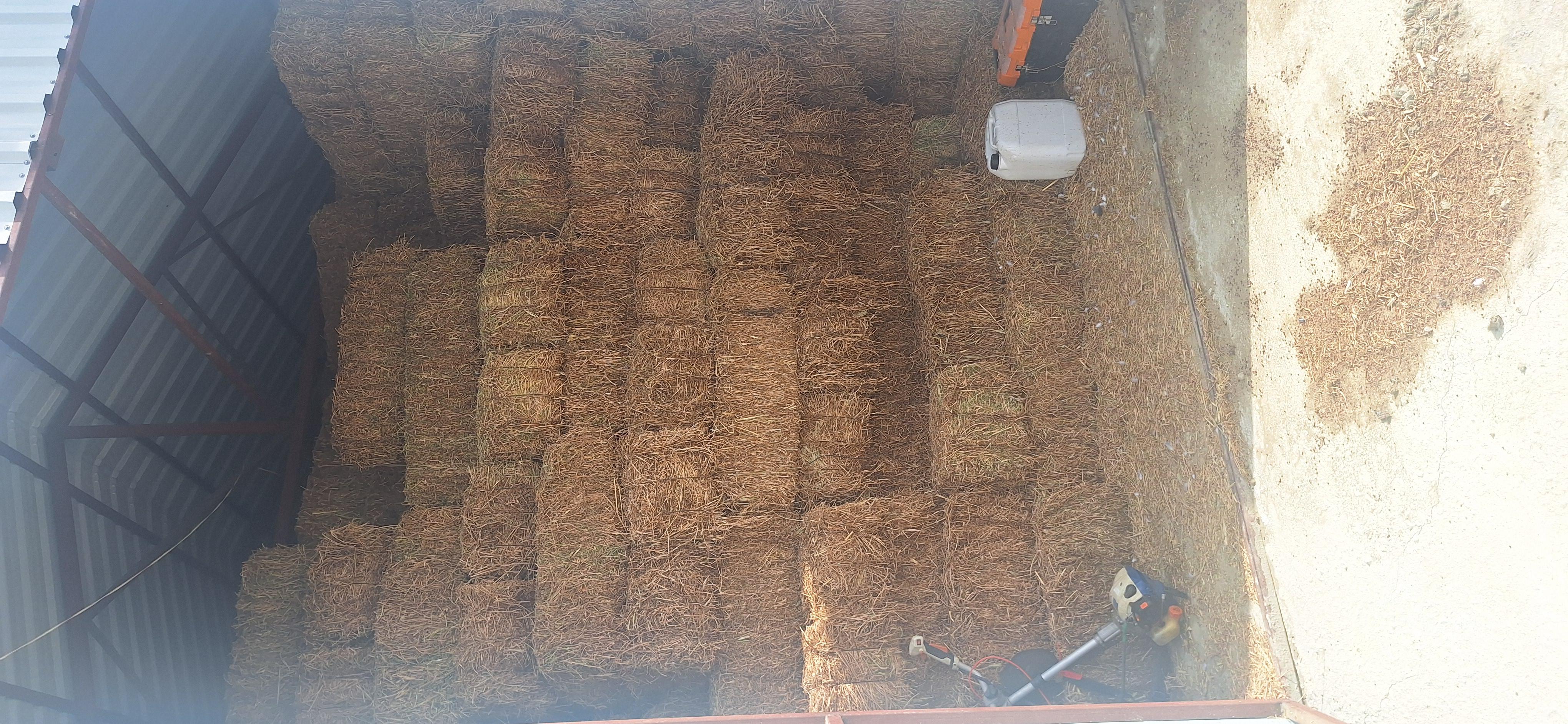 Fiğ - Özgür Okudan tarafından verilen satılık fiğ ilanını ve diğer satılık fiğ ilanlarını tarimziraat.com adresinde bulabilirsiniz