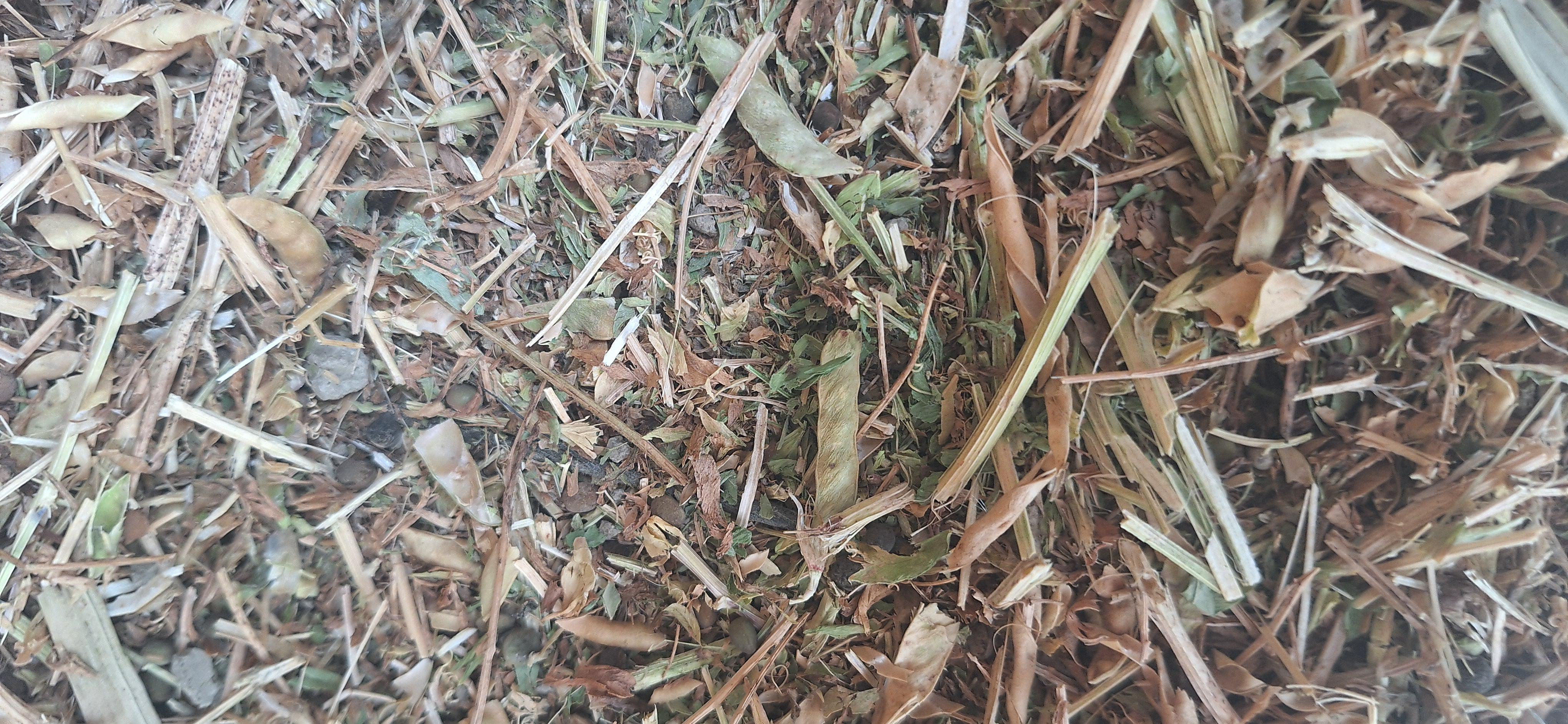 Antalya Elmalı Satılık Fiğ