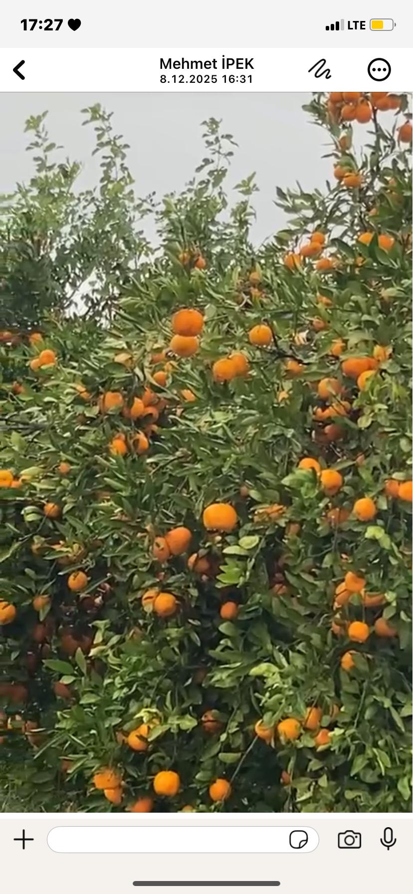 Mersin Tarsus Satılık Mandalina