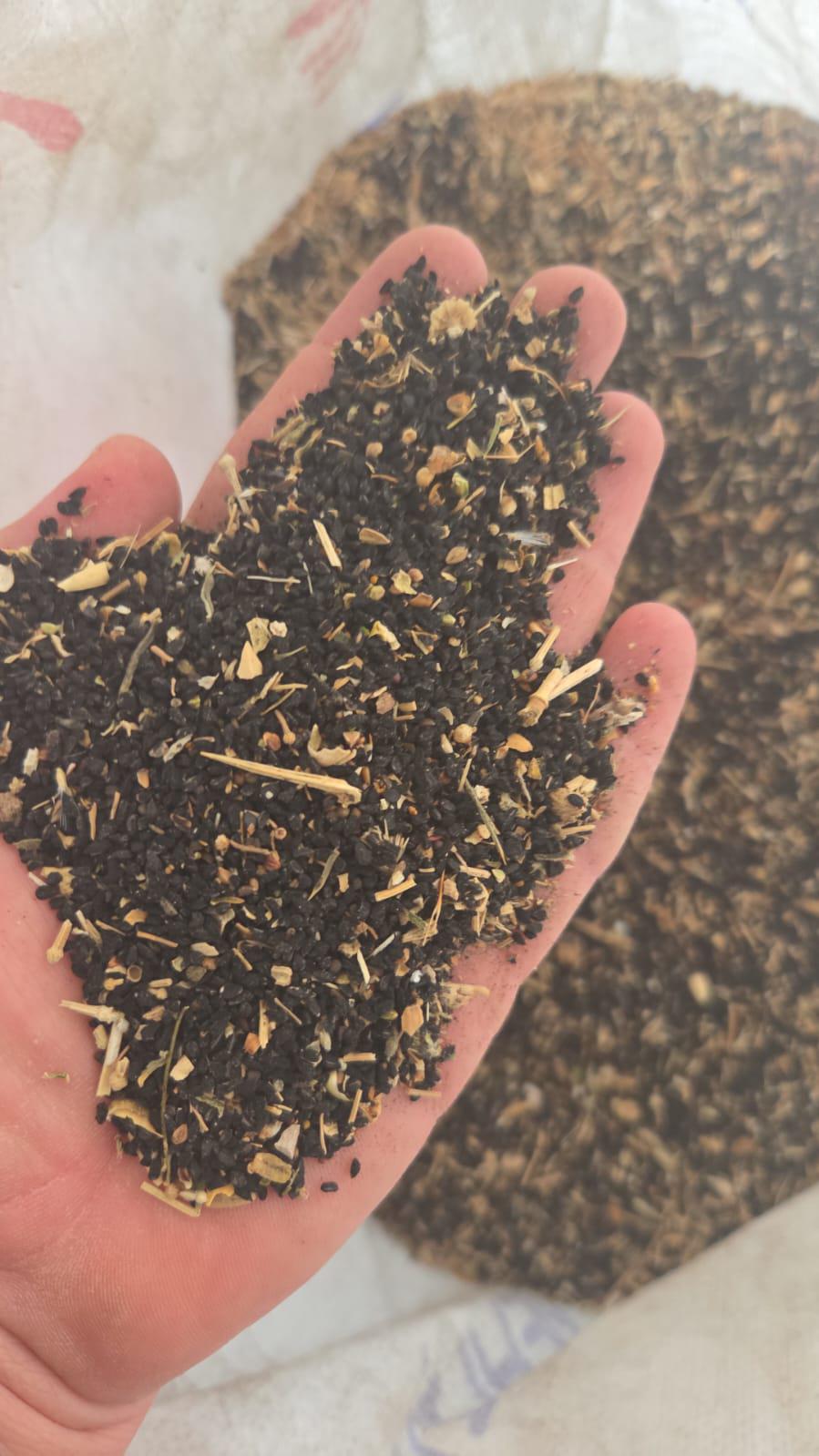 Çörek otu - Zeynep'in Çiftliği tarafından verilen satılık çörek otu ilanını ve diğer satılık çörek otu ilanlarını tarimziraat.com adresinde bulabilirsiniz