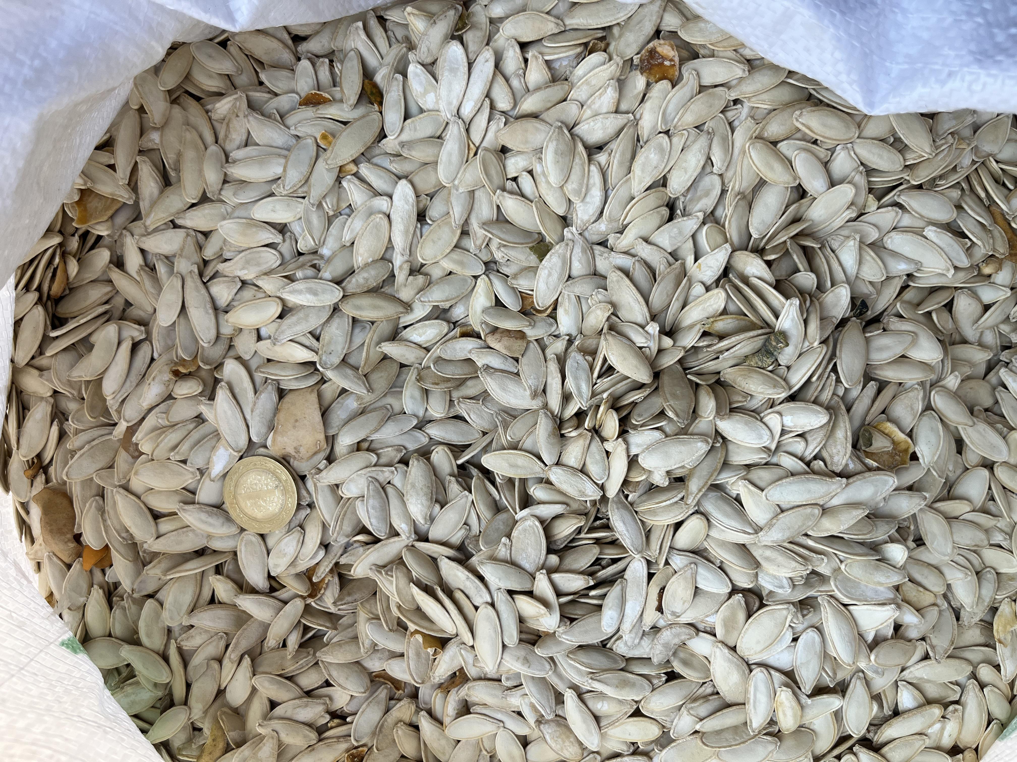 Eskişehir Günyüzü Satılık Kabak Çekirdeği