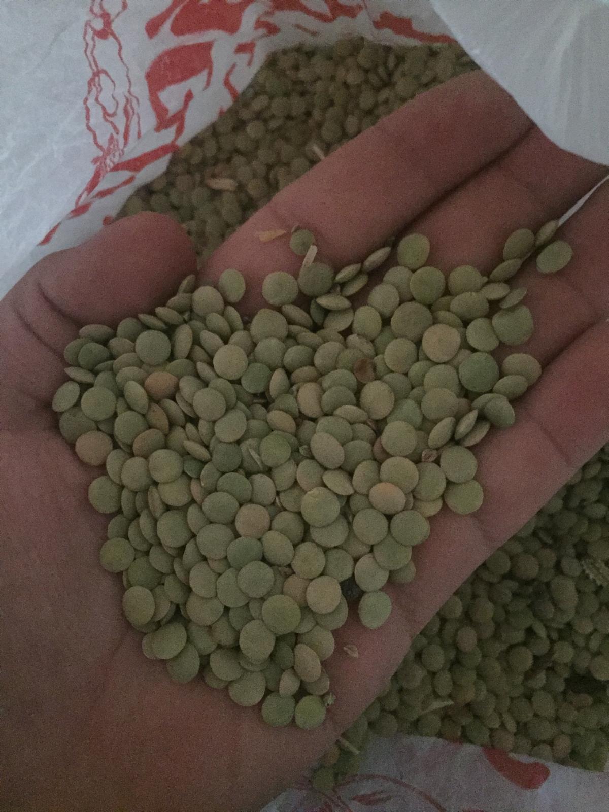 Mercimek - Furkan Özdemir tarafından verilen satılık mercimek ilanını ve diğer satılık mercimek ilanlarını tarimziraat.com adresinde bulabilirsiniz